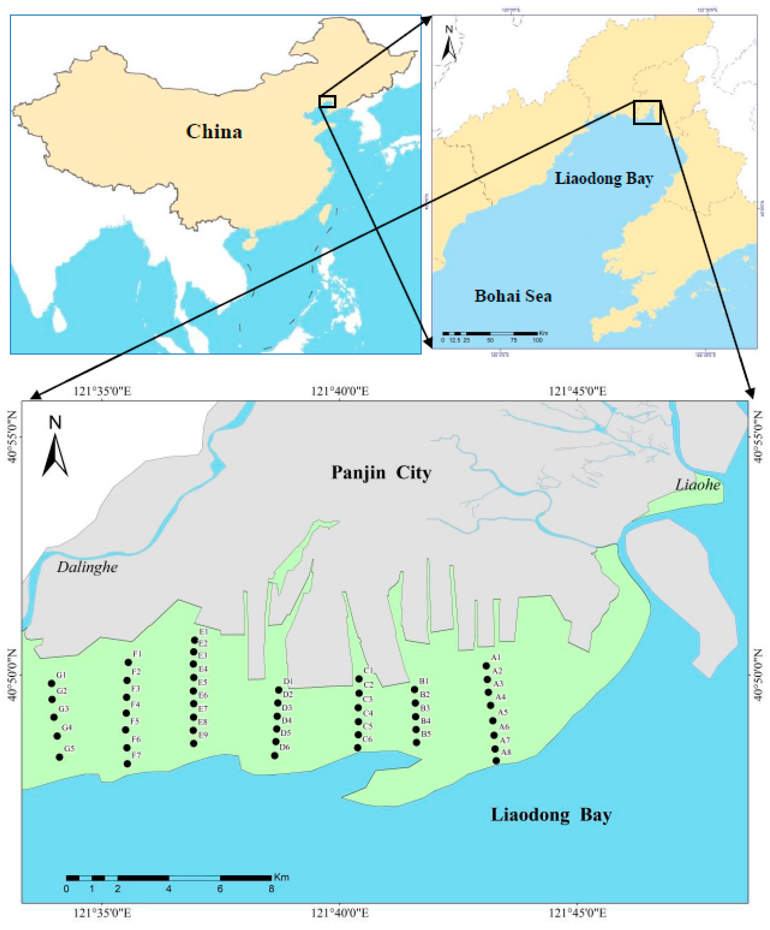 Water Free Full-Text Benthic Habitat Quality Assessment in Estuarine Intertidal Flats Based on Long-Term Data with Focus on Responses to Eco-Restoration Activity