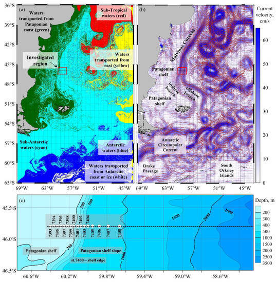 Physical and Biological Features of the Waters in the Outer 