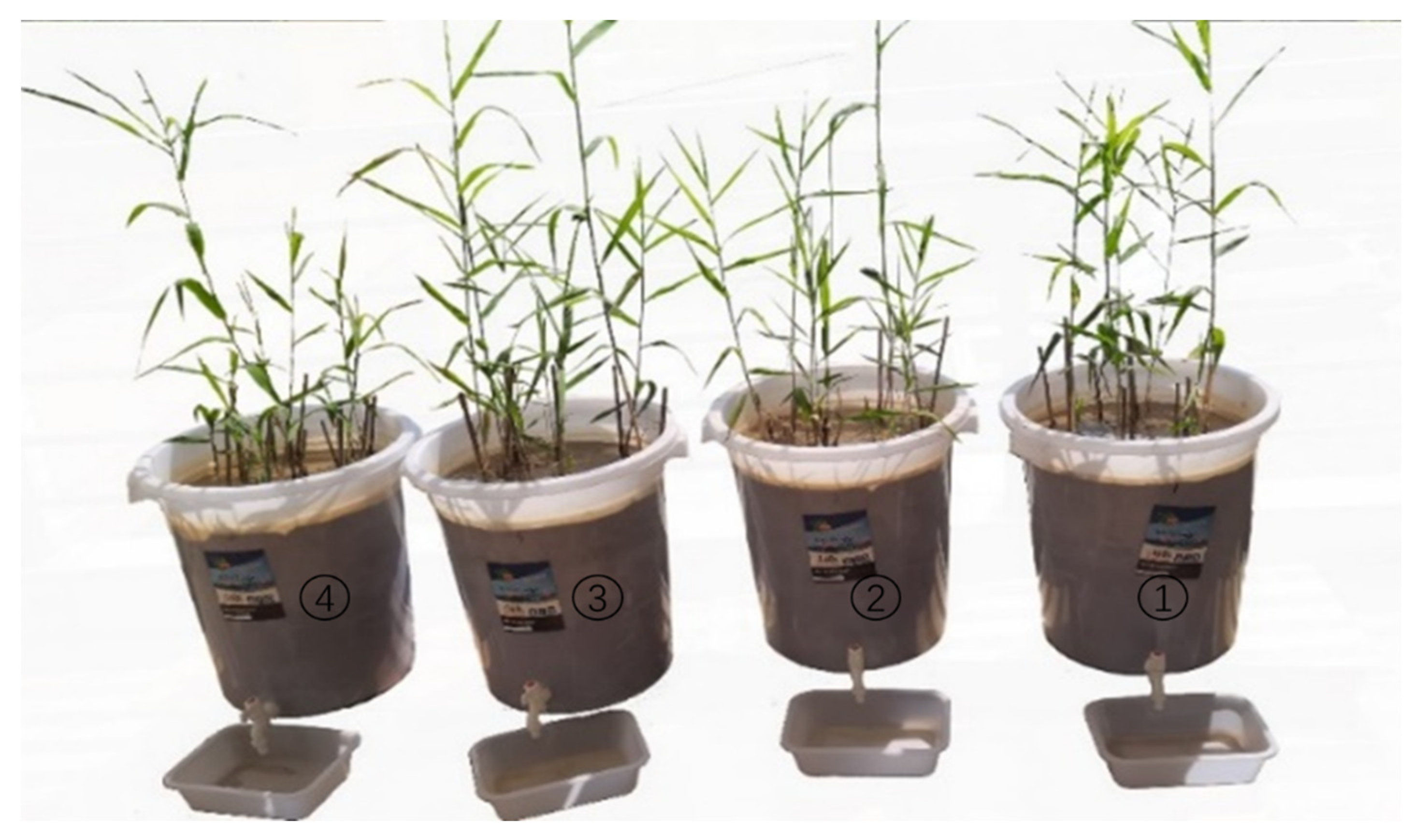 Water 14 03889 g002 Water 14 03889 g002