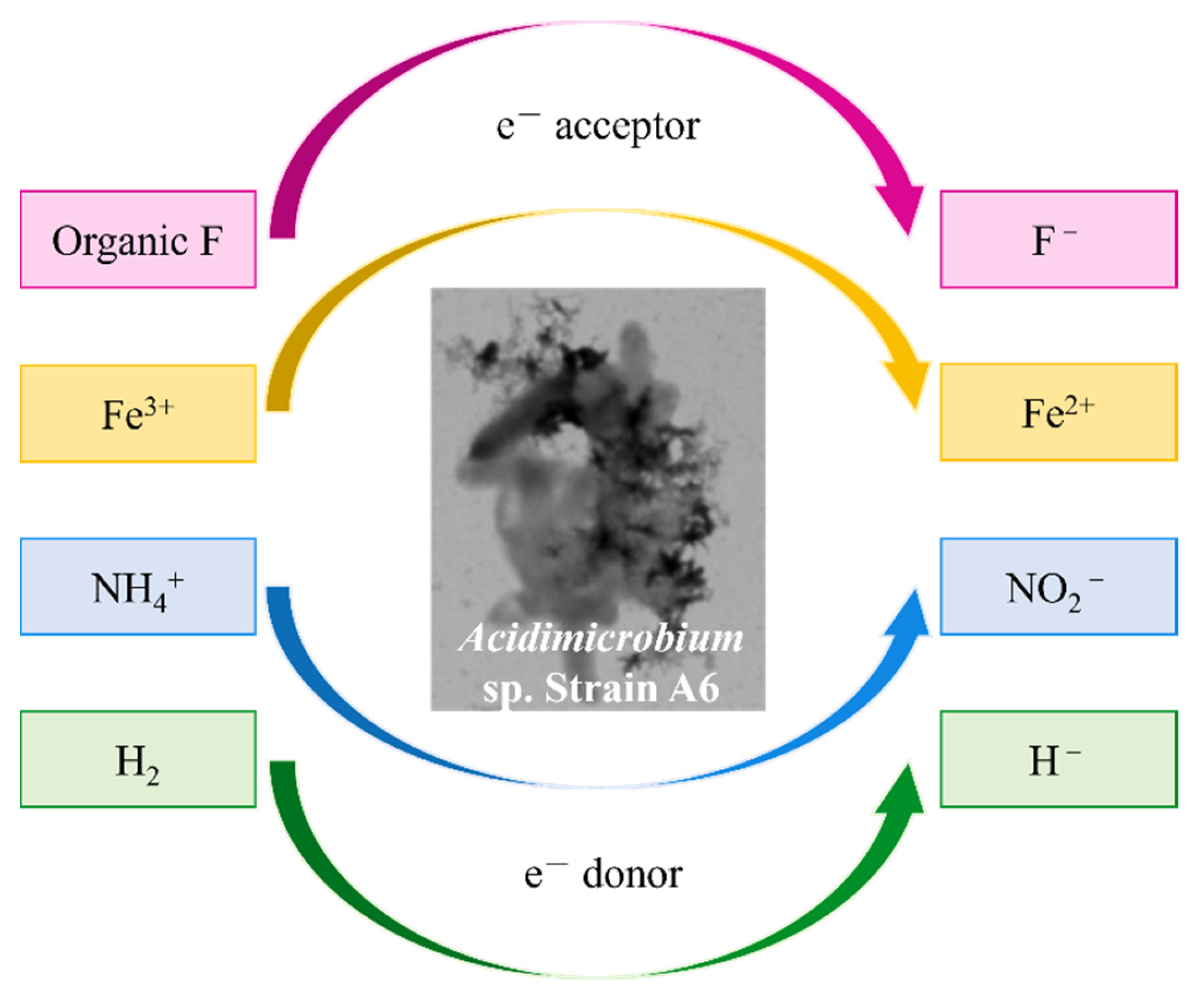 Water 14 03919 g006 Water 14 03919 g006