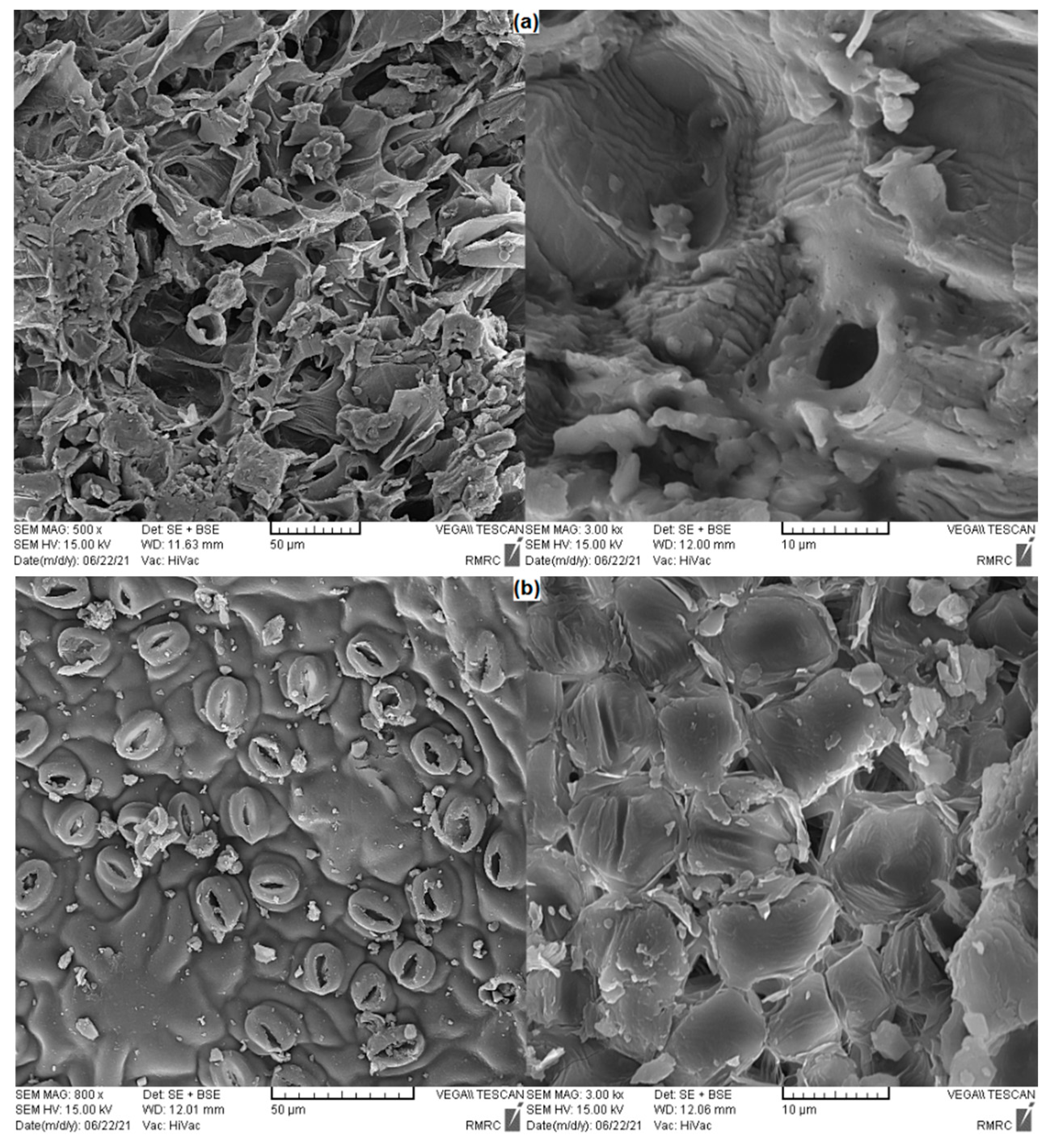 Water 14 03939 g002 Water 14 03939 g002