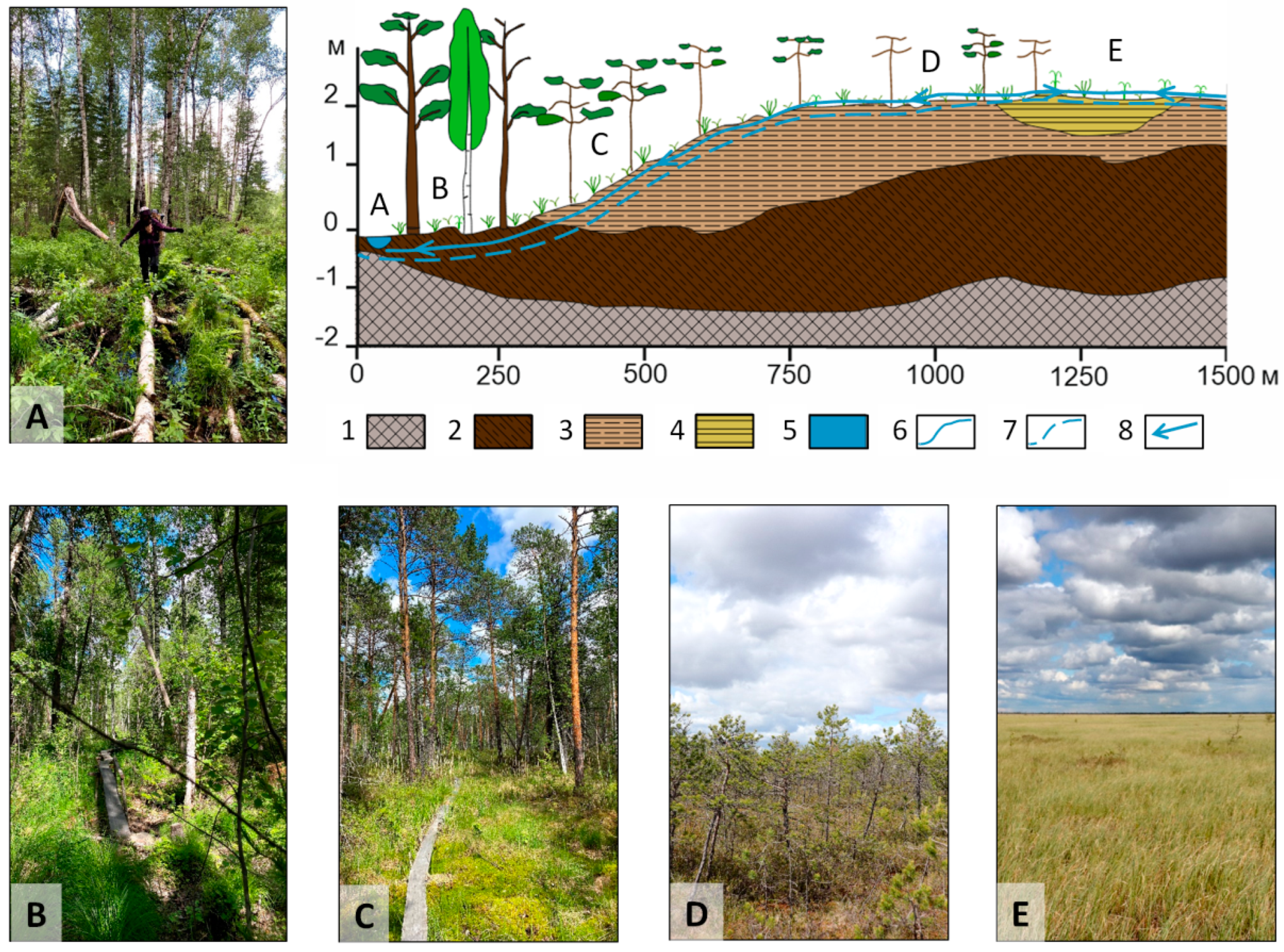 Water 14 03969 g002 Water 14 03969 g002