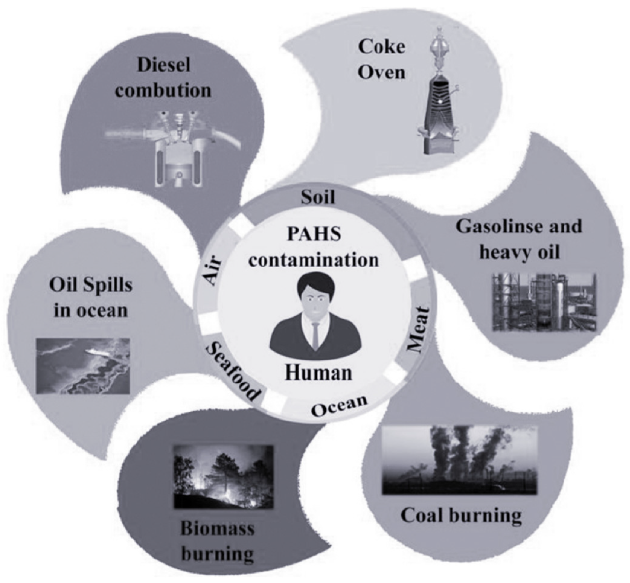 Water 14 03980 g002 Water 14 03980 g002