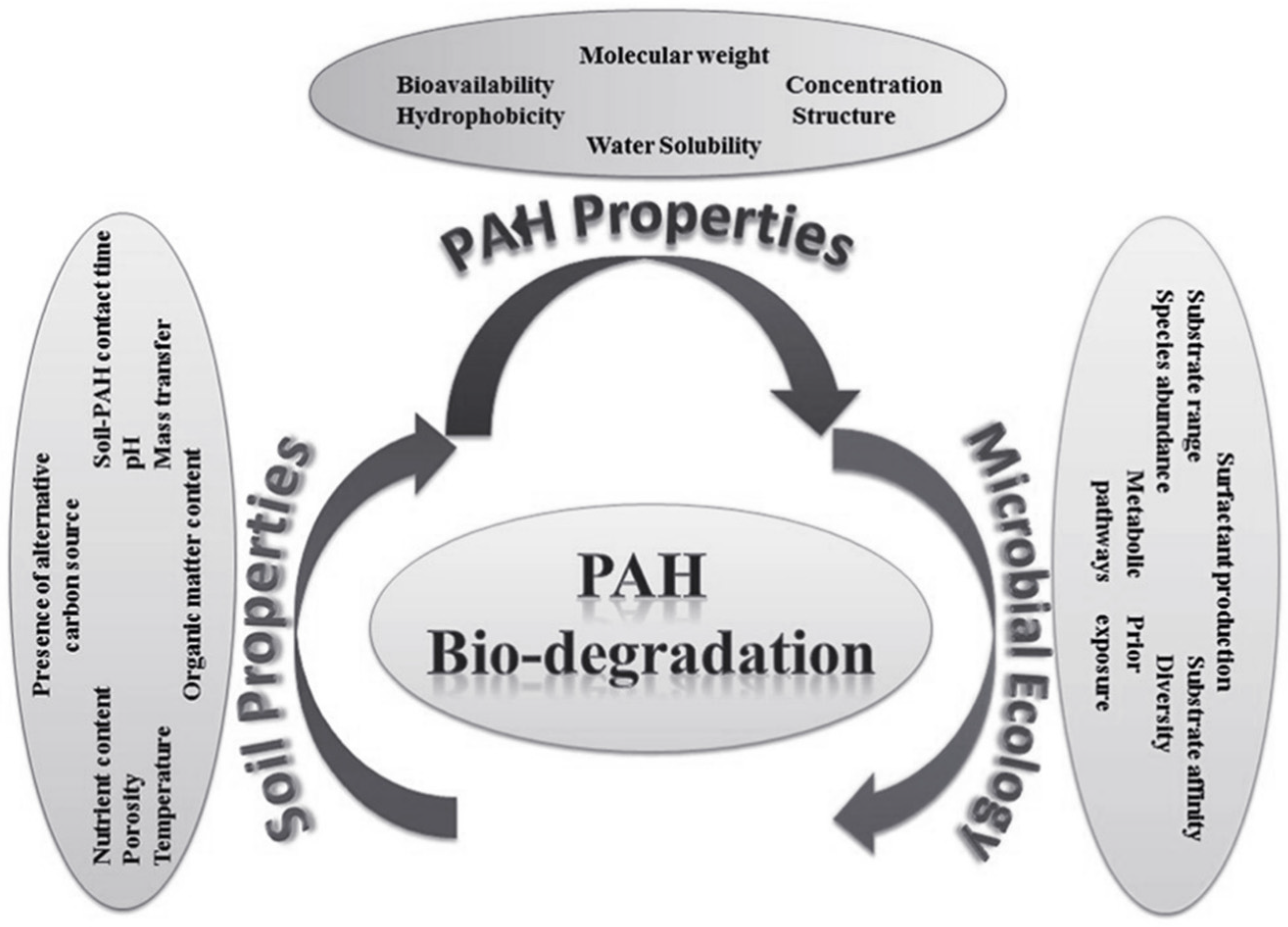 Water 14 03980 g003 Water 14 03980 g003