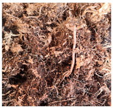 Water 14 04009 i001 Water 14 04009 i001