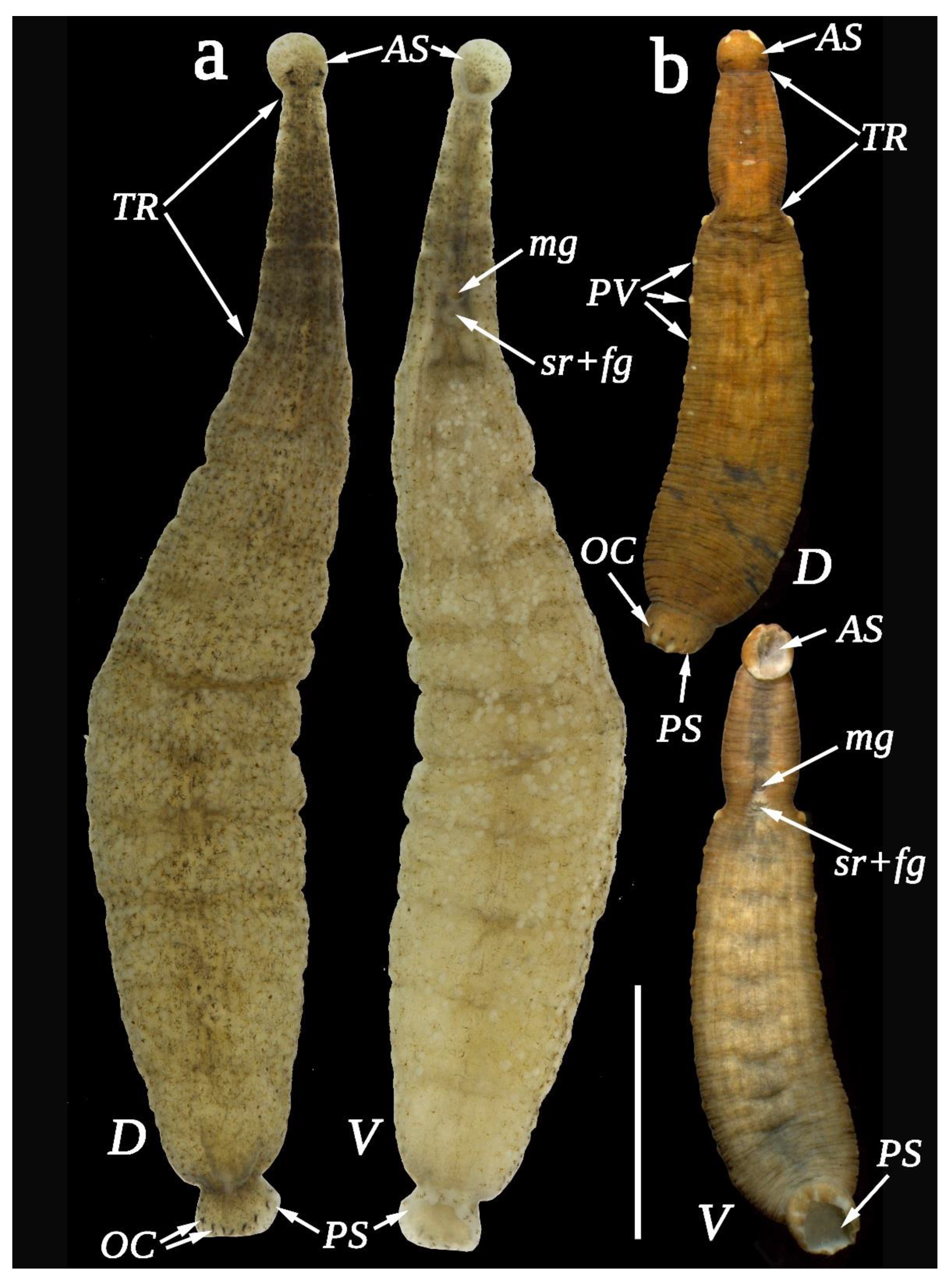 Water 14 04010 g002 Water 14 04010 g002