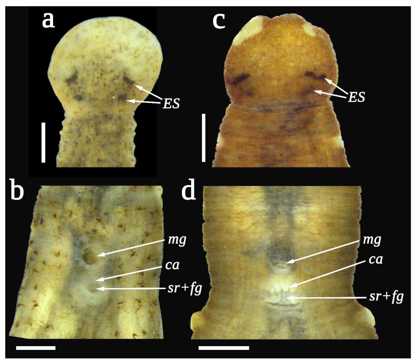 Water 14 04010 g003 Water 14 04010 g003