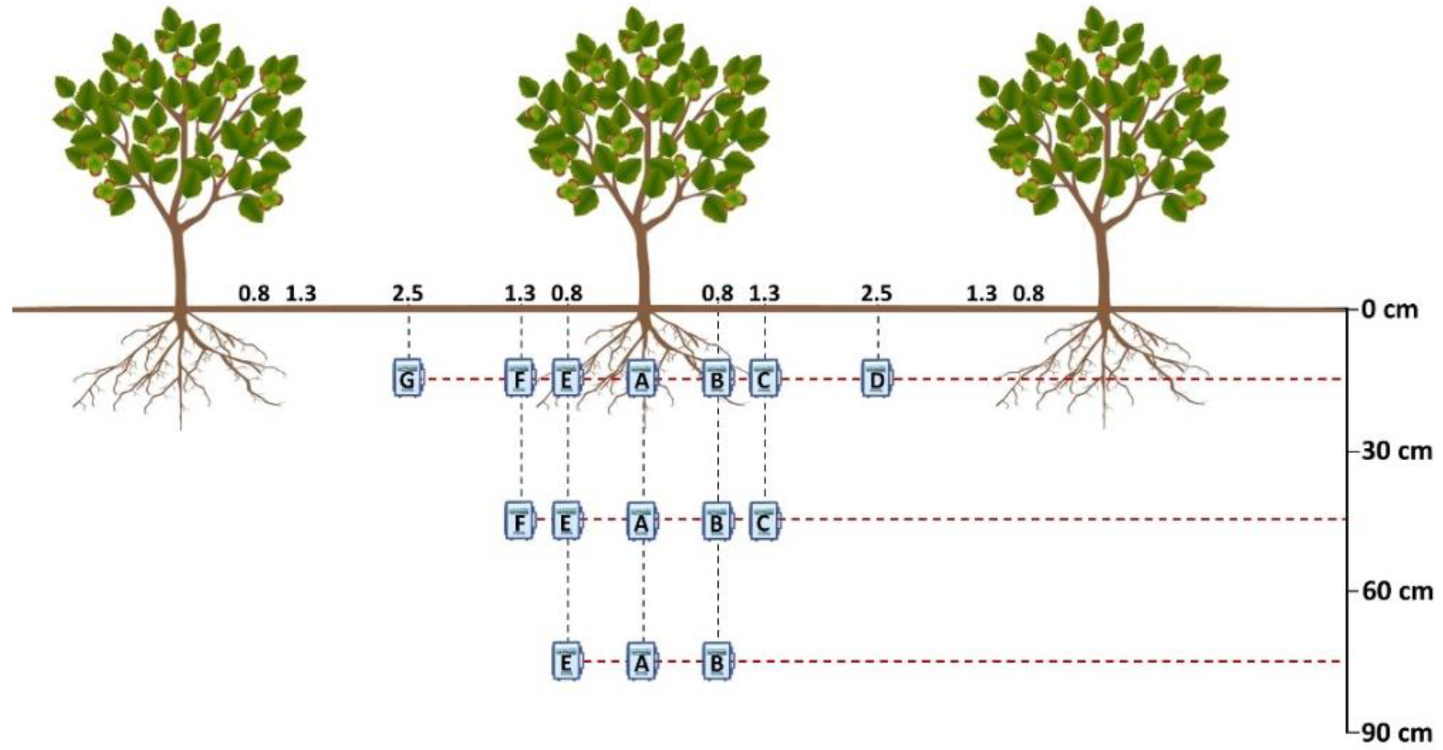 Water 14 04011 g004 Water 14 04011 g004