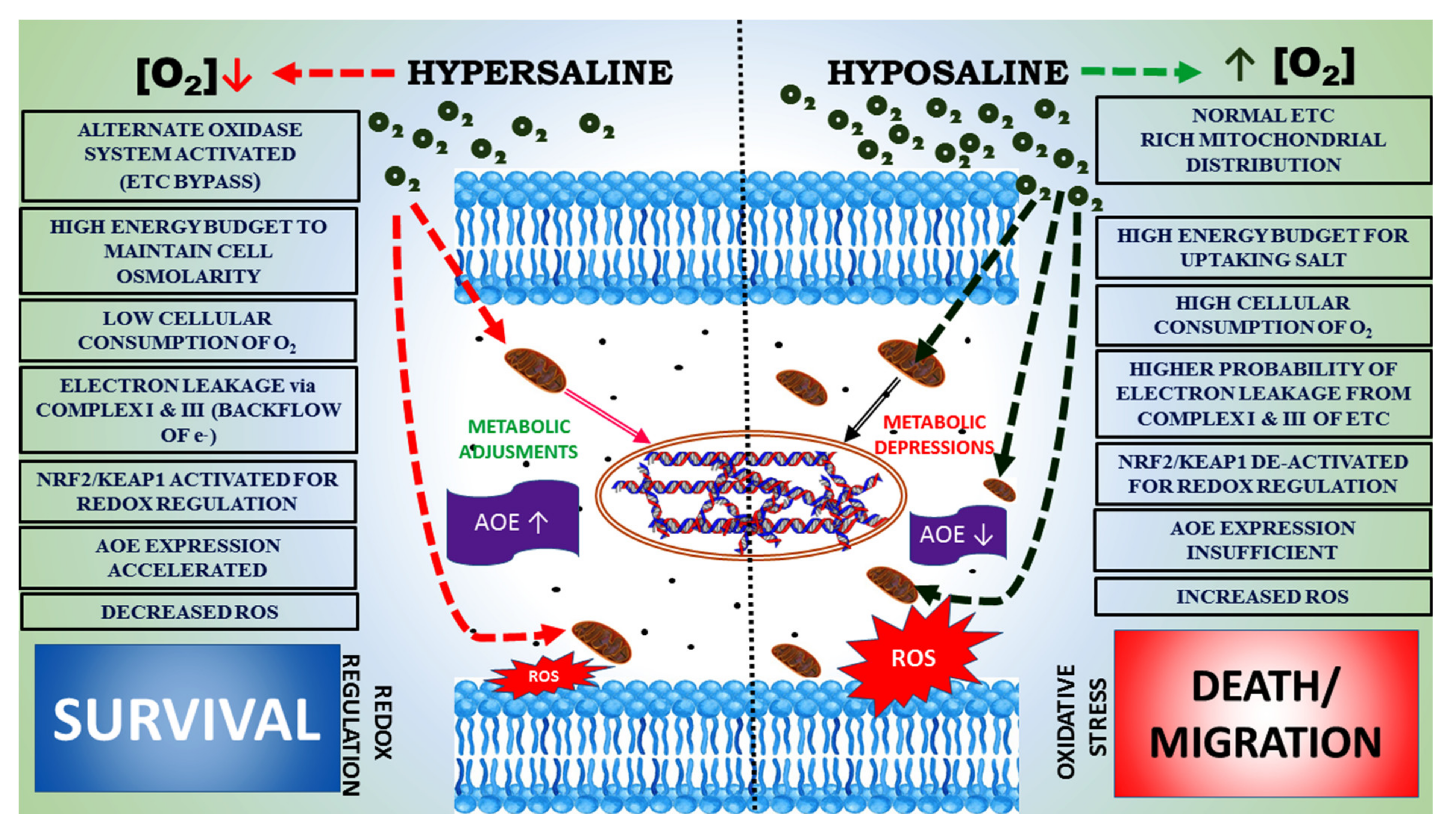 Water 14 04026 g004 Water 14 04026 g004