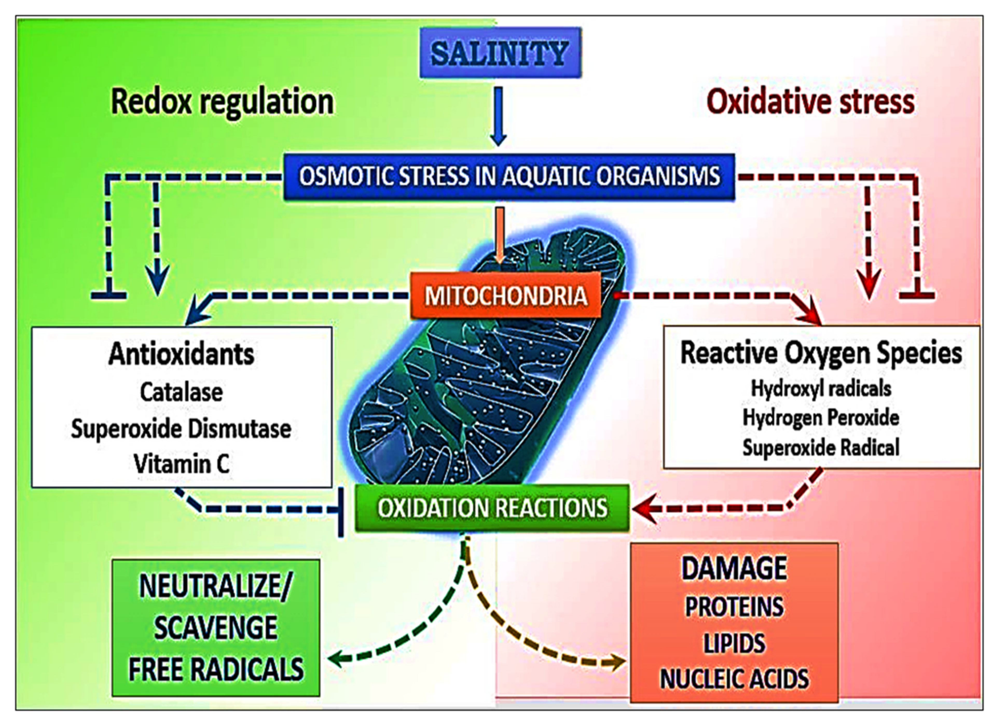 Water 14 04026 g005 Water 14 04026 g005