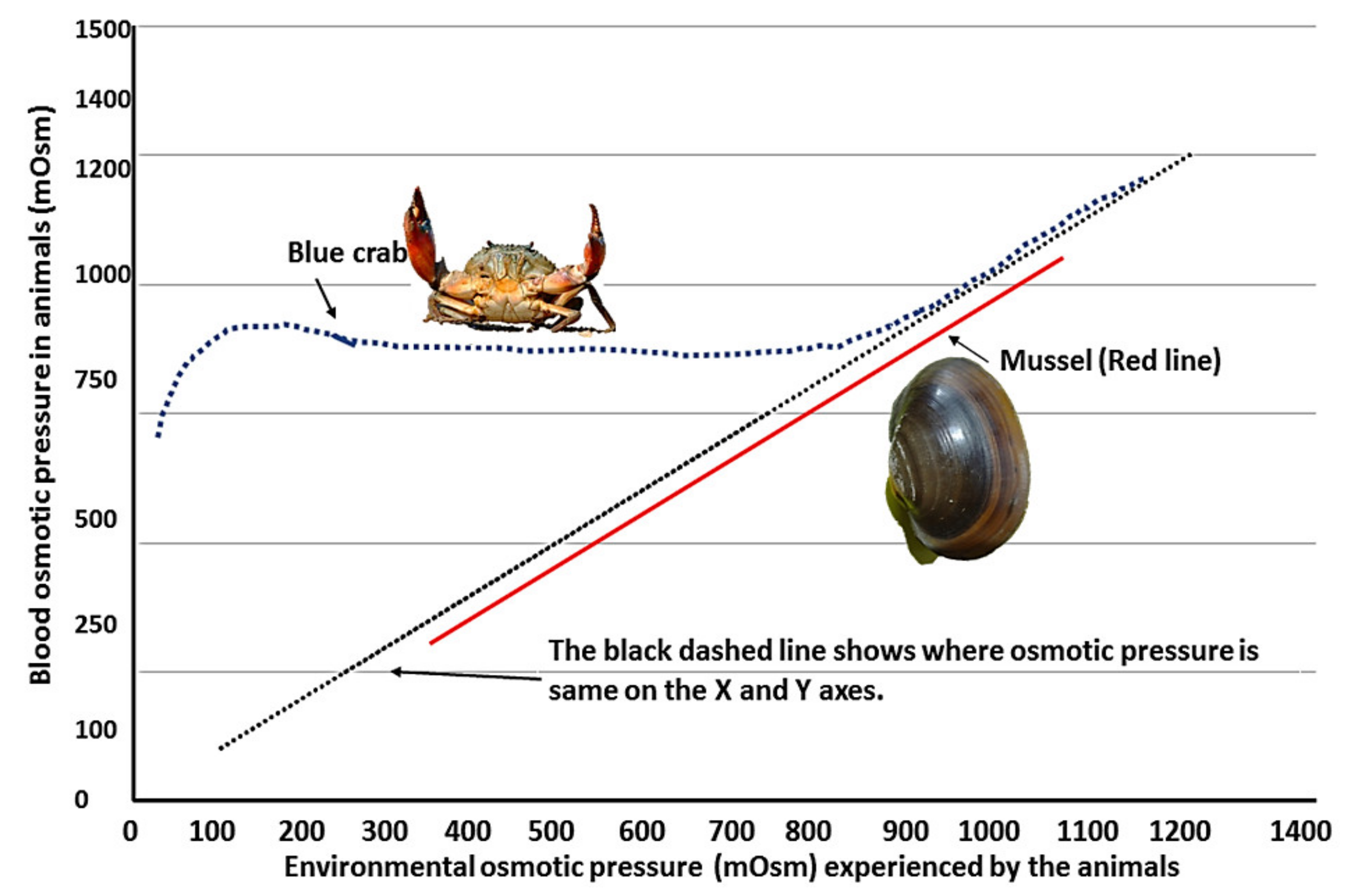 Water 14 04026 g007 Water 14 04026 g007