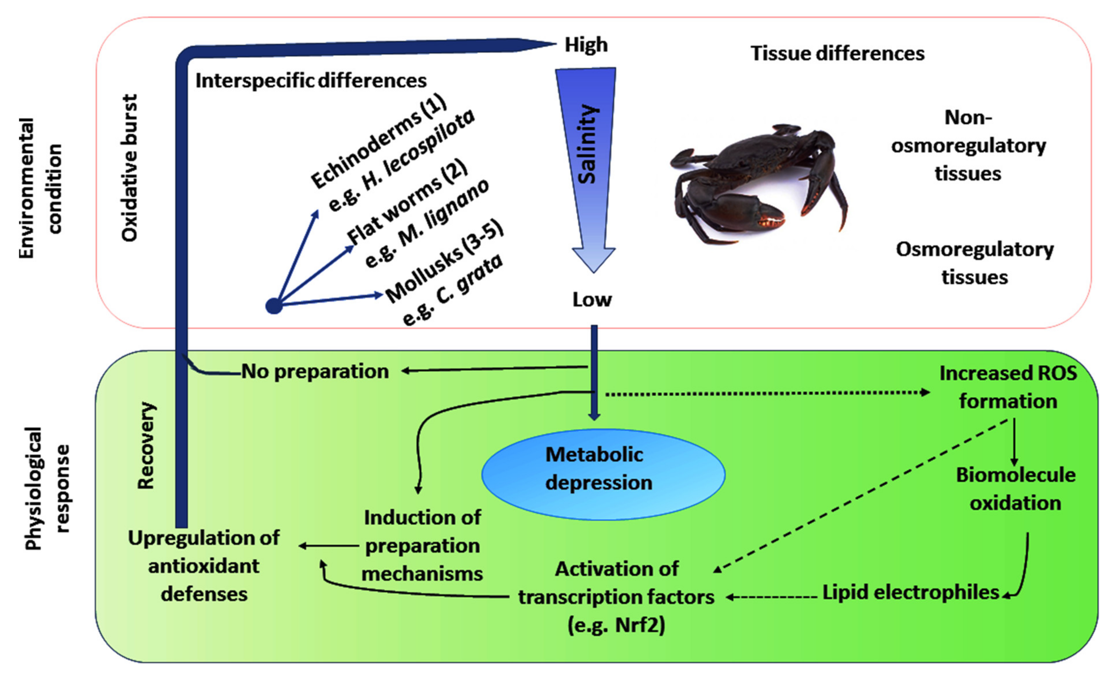 Water 14 04026 g008 Water 14 04026 g008