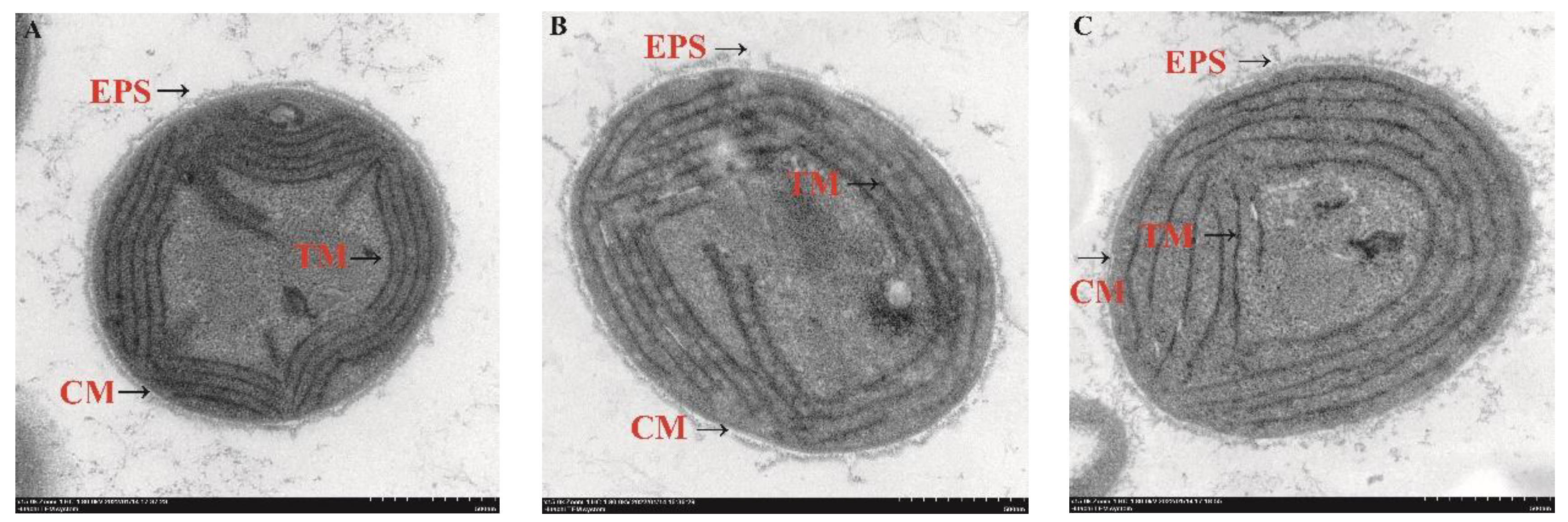 Water 14 04032 g002 Water 14 04032 g002