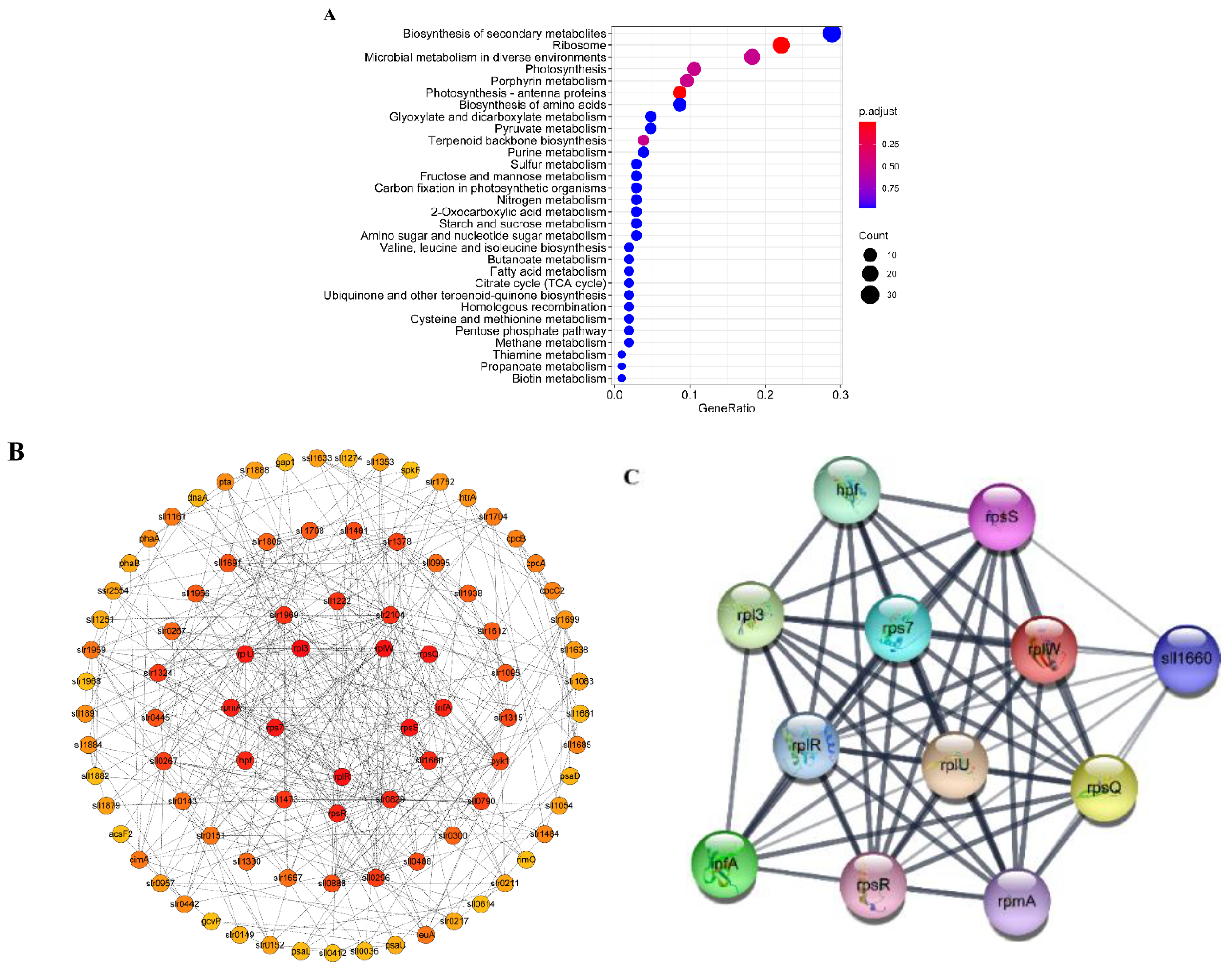 Water 14 04032 g006 Water 14 04032 g006