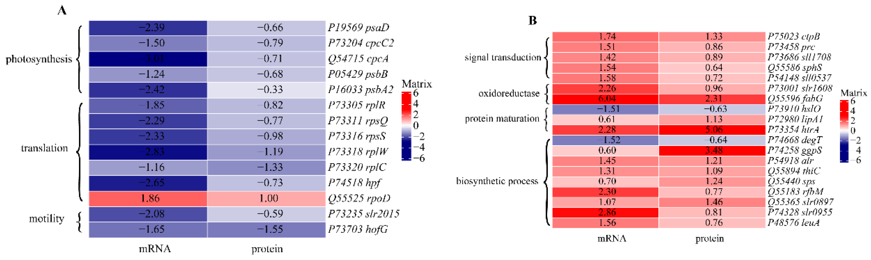 Water 14 04032 g008a Water 14 04032 g008a