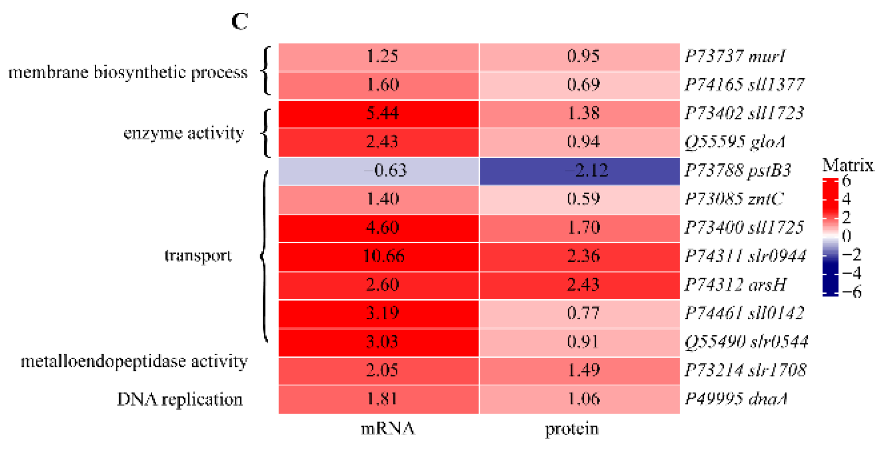Water 14 04032 g008b Water 14 04032 g008b