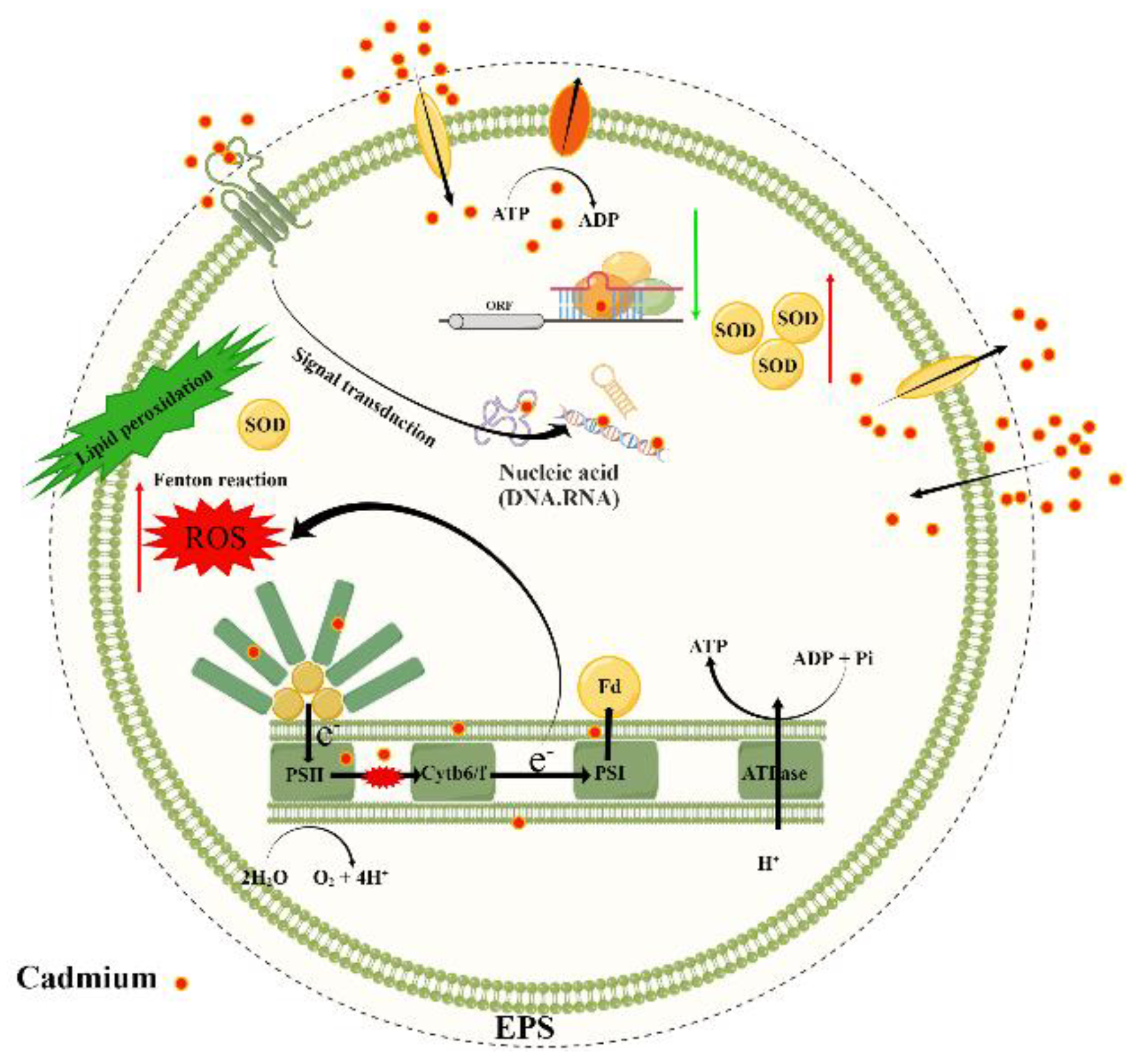 Water 14 04032 g009 Water 14 04032 g009