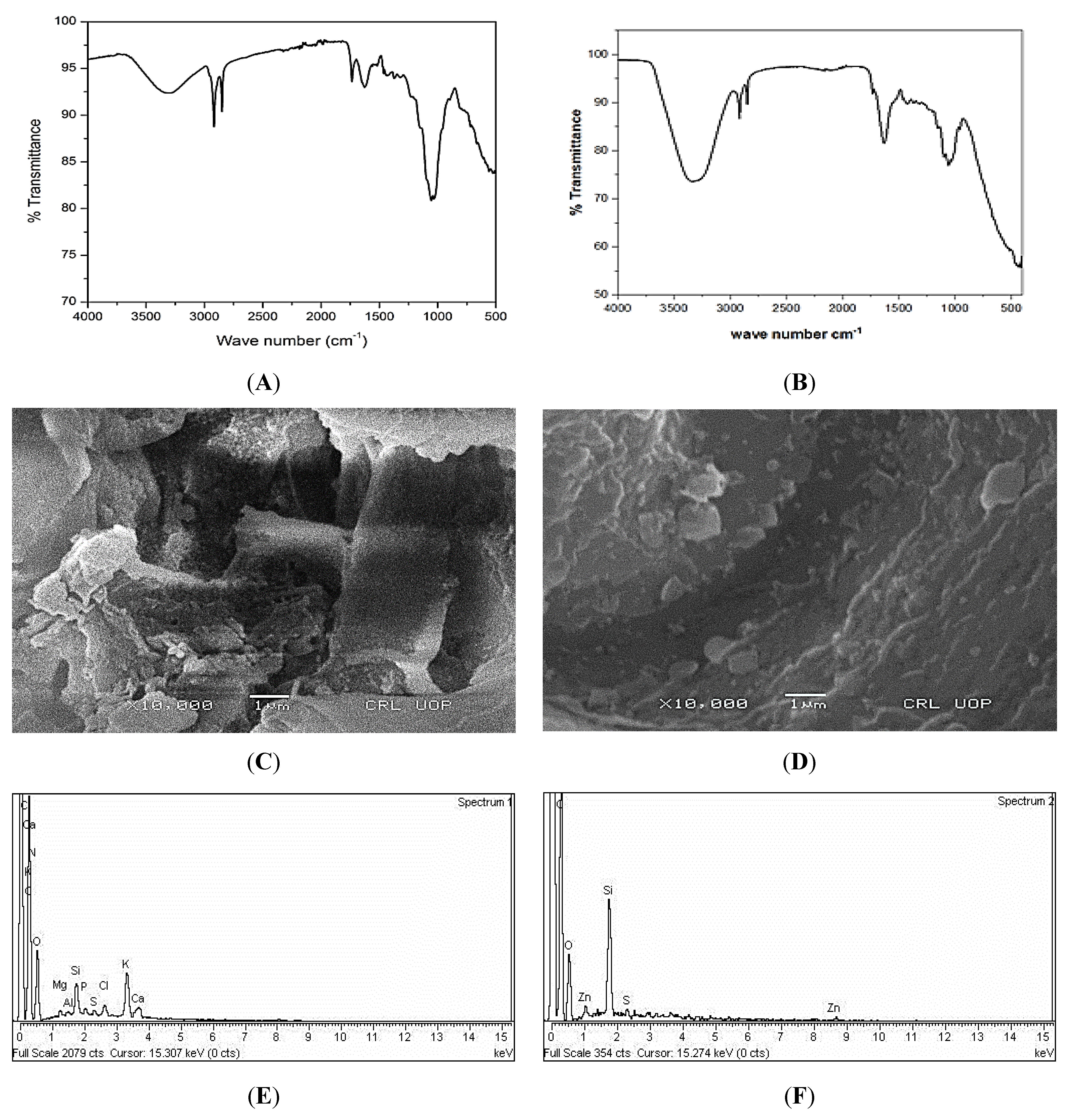 Water 14 04039 g001a Water 14 04039 g001a