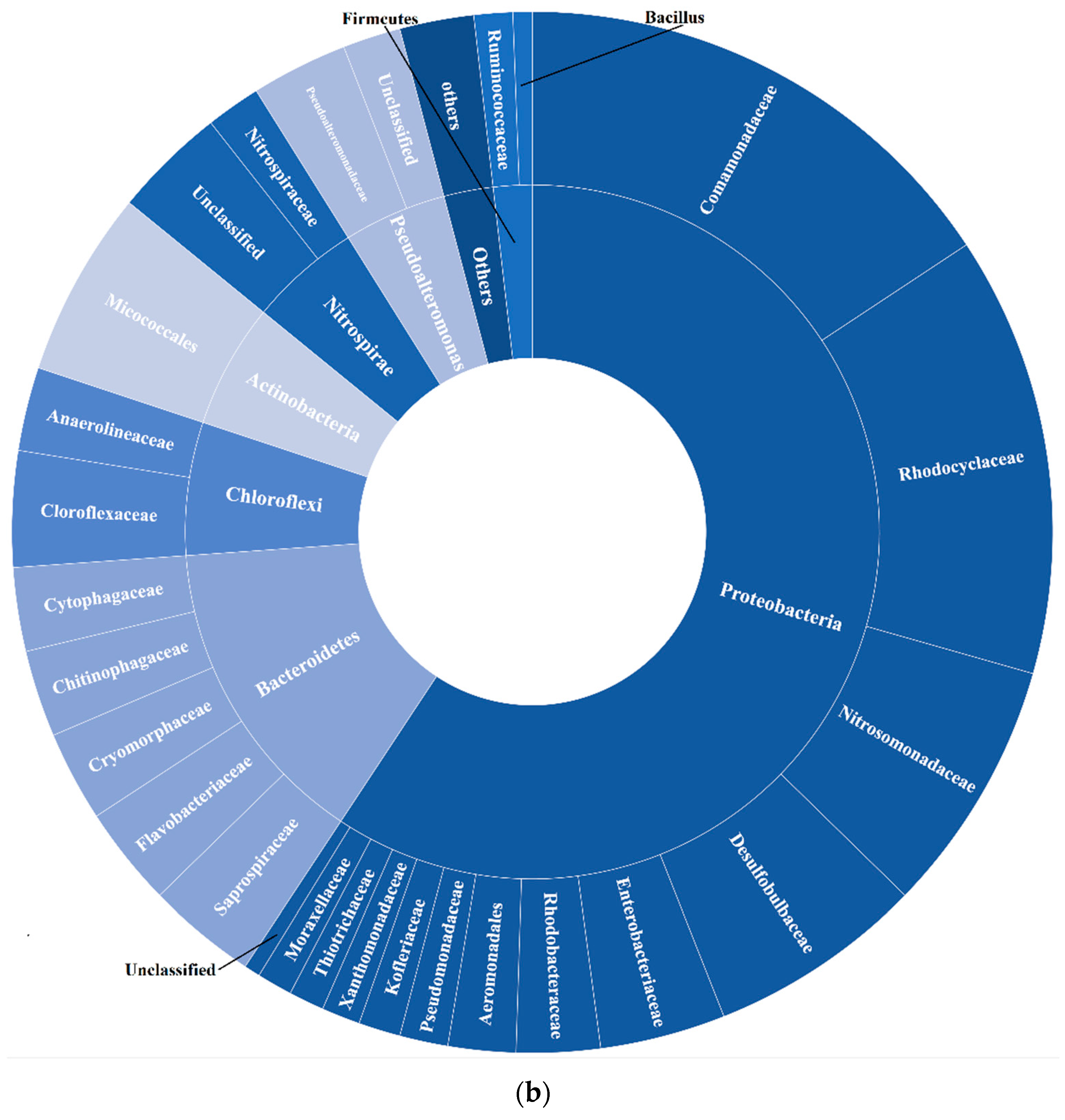 Water 14 04046 g002b