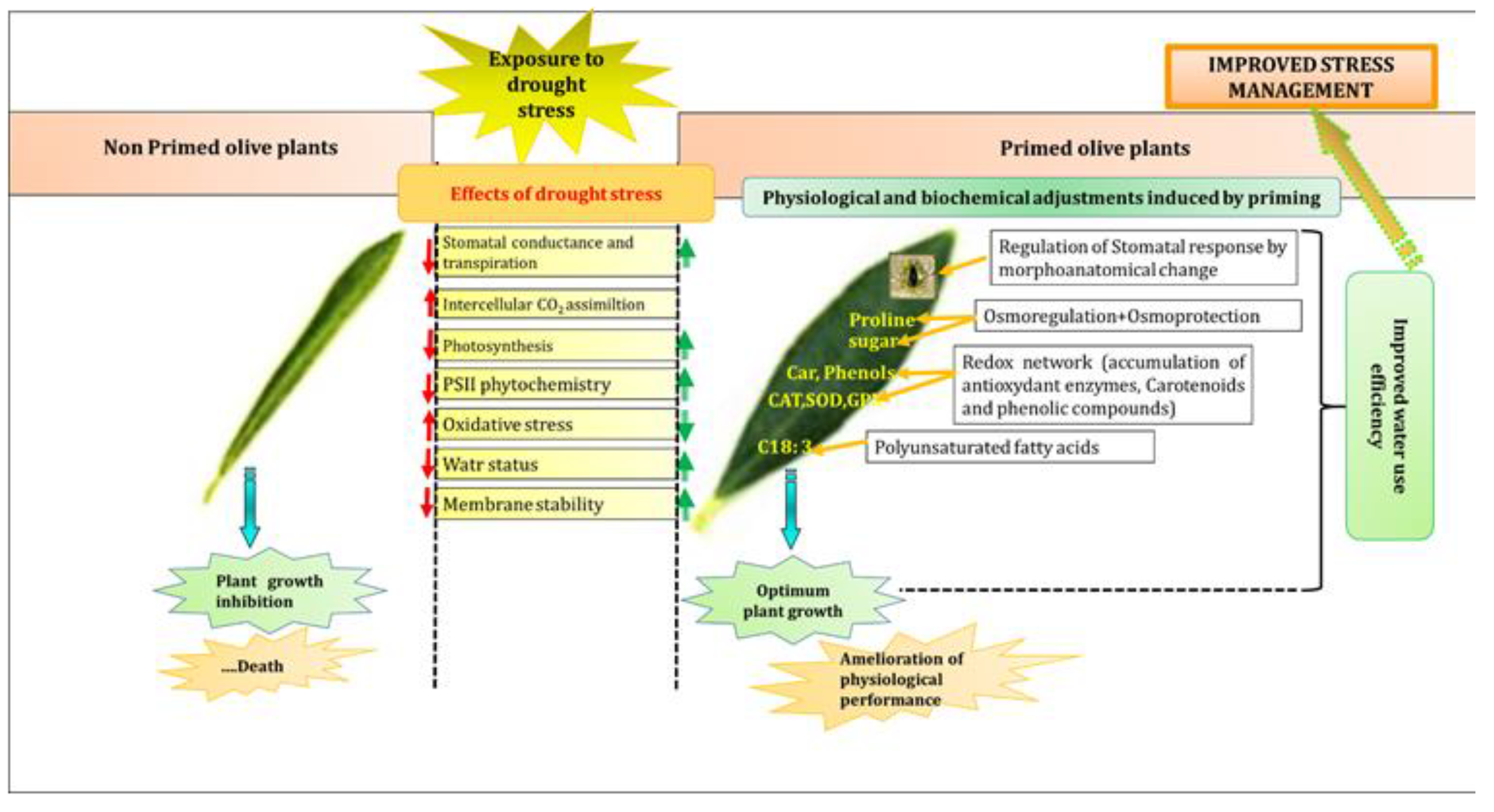 Water 14 04050 g012 Water 14 04050 g012
