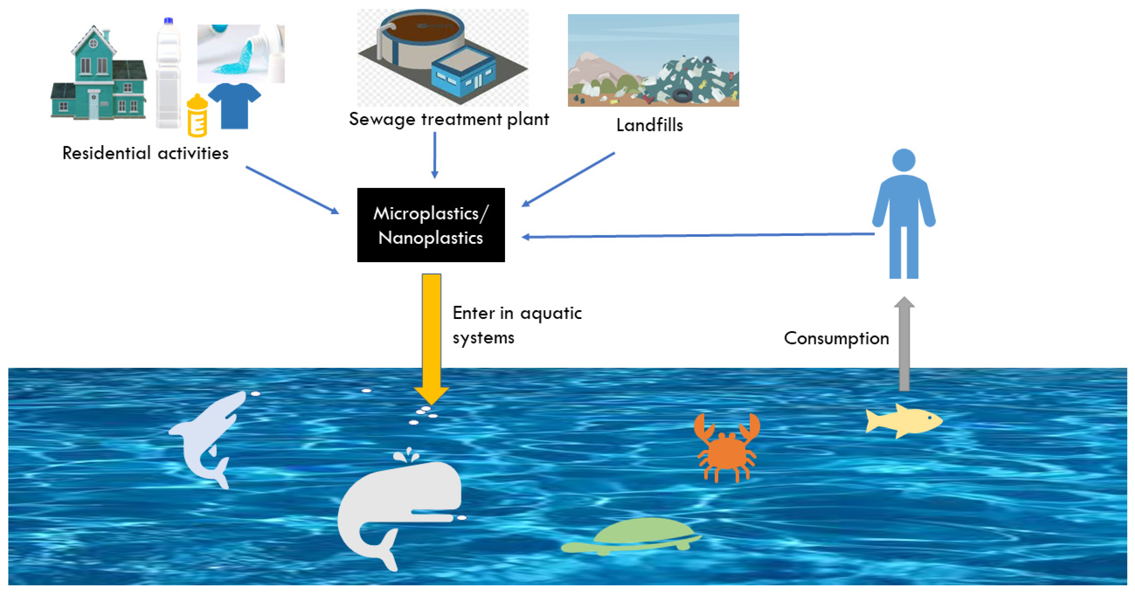 Innovations in CO2 Detection for Marine And Aquatic Environments  