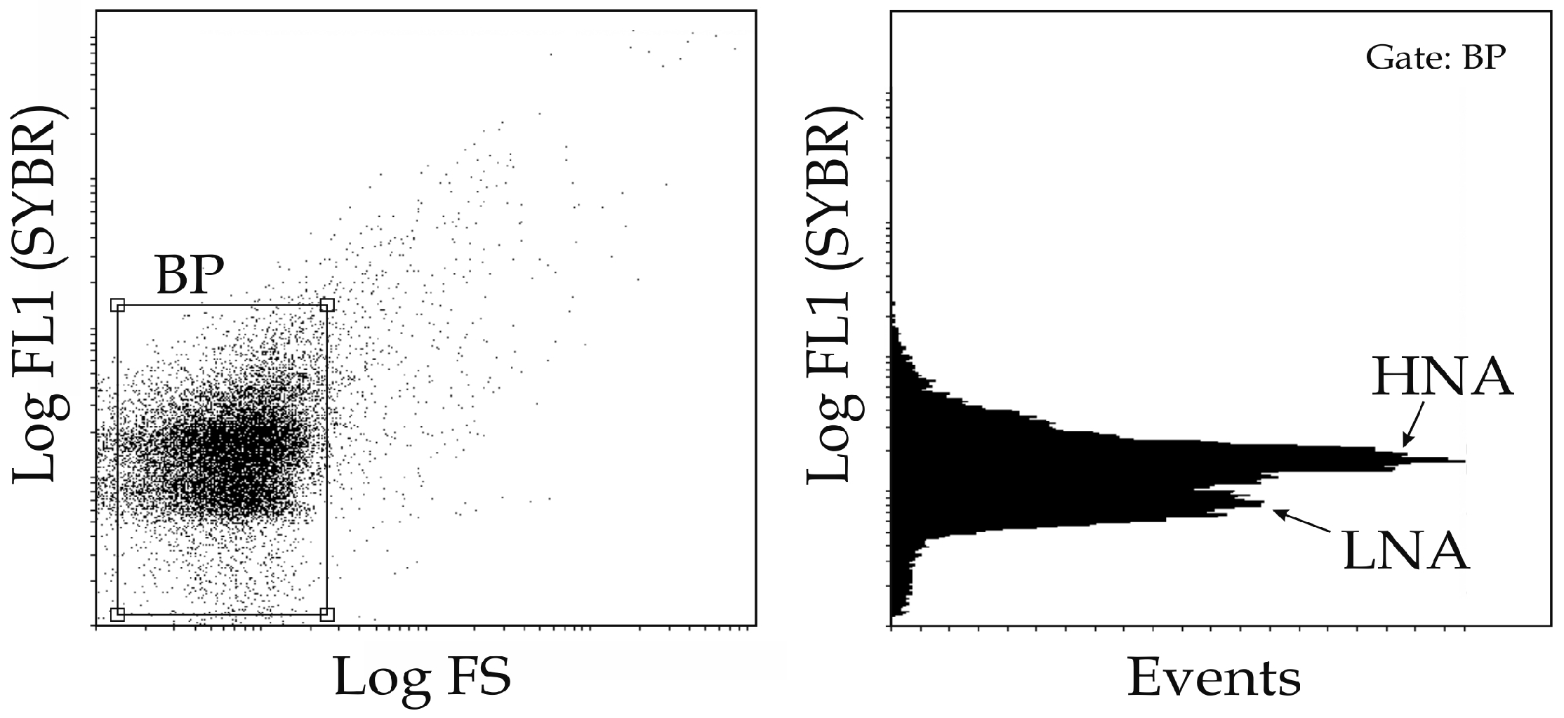 Water 14 04103 g003 Water 14 04103 g003