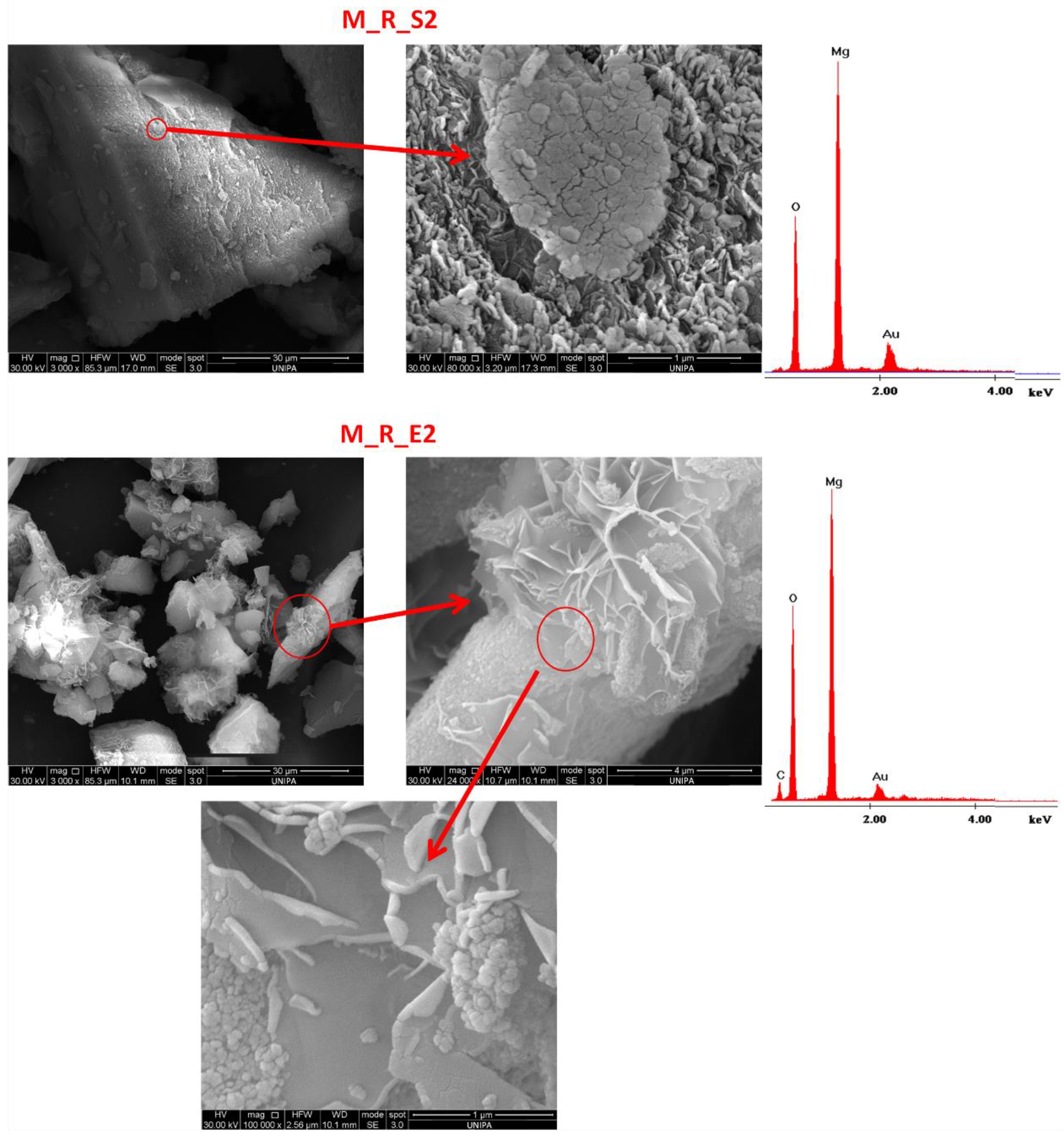 Water 15 00029 g012 Water 15 00029 g012