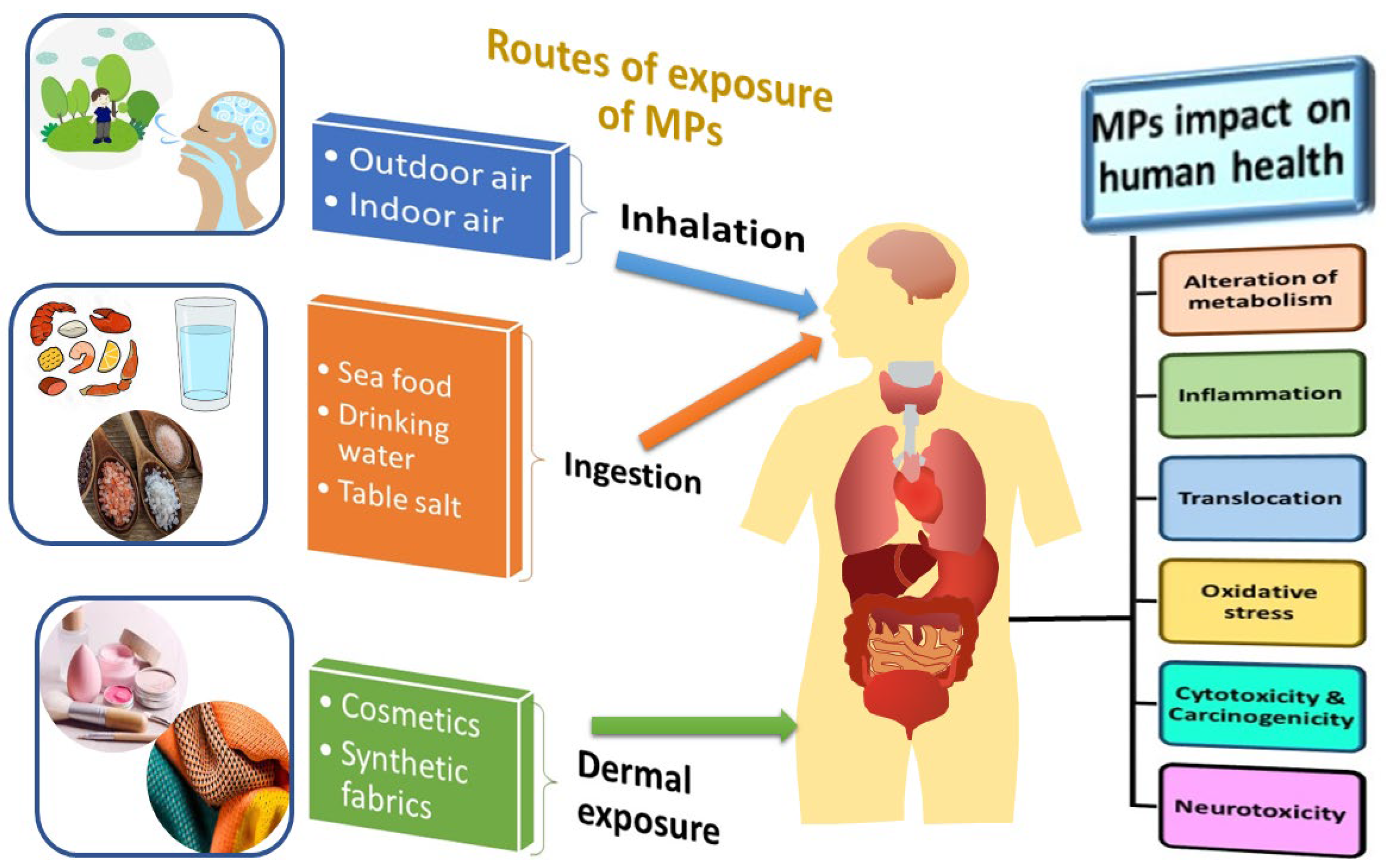 Water 15 00051 g011 Water 15 00051 g011