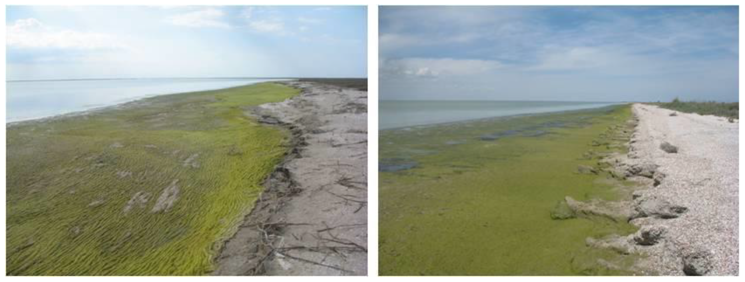 Water 15 00052 g001 Water 15 00052 g001