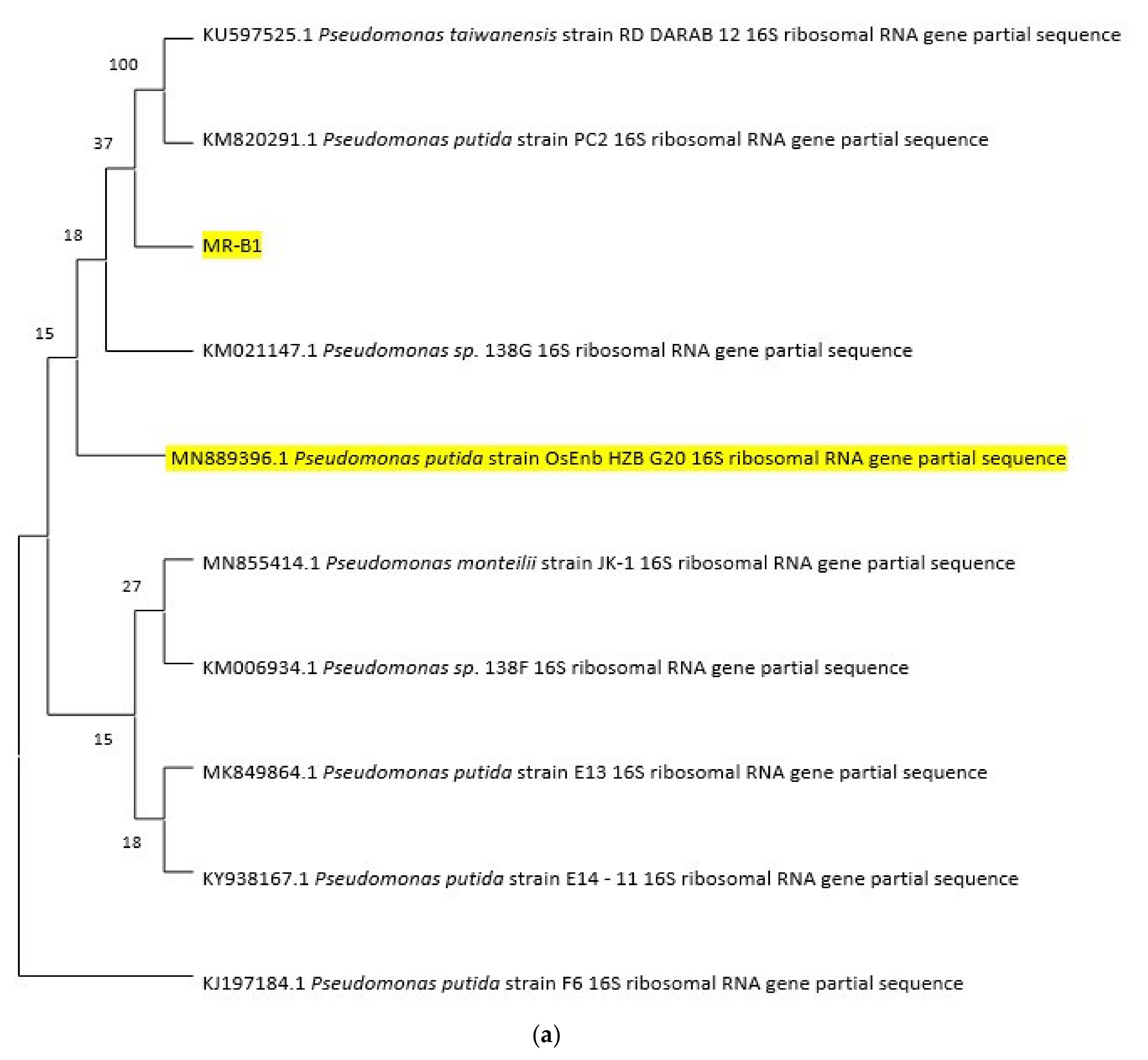Water 15 00056 g002a Water 15 00056 g002a