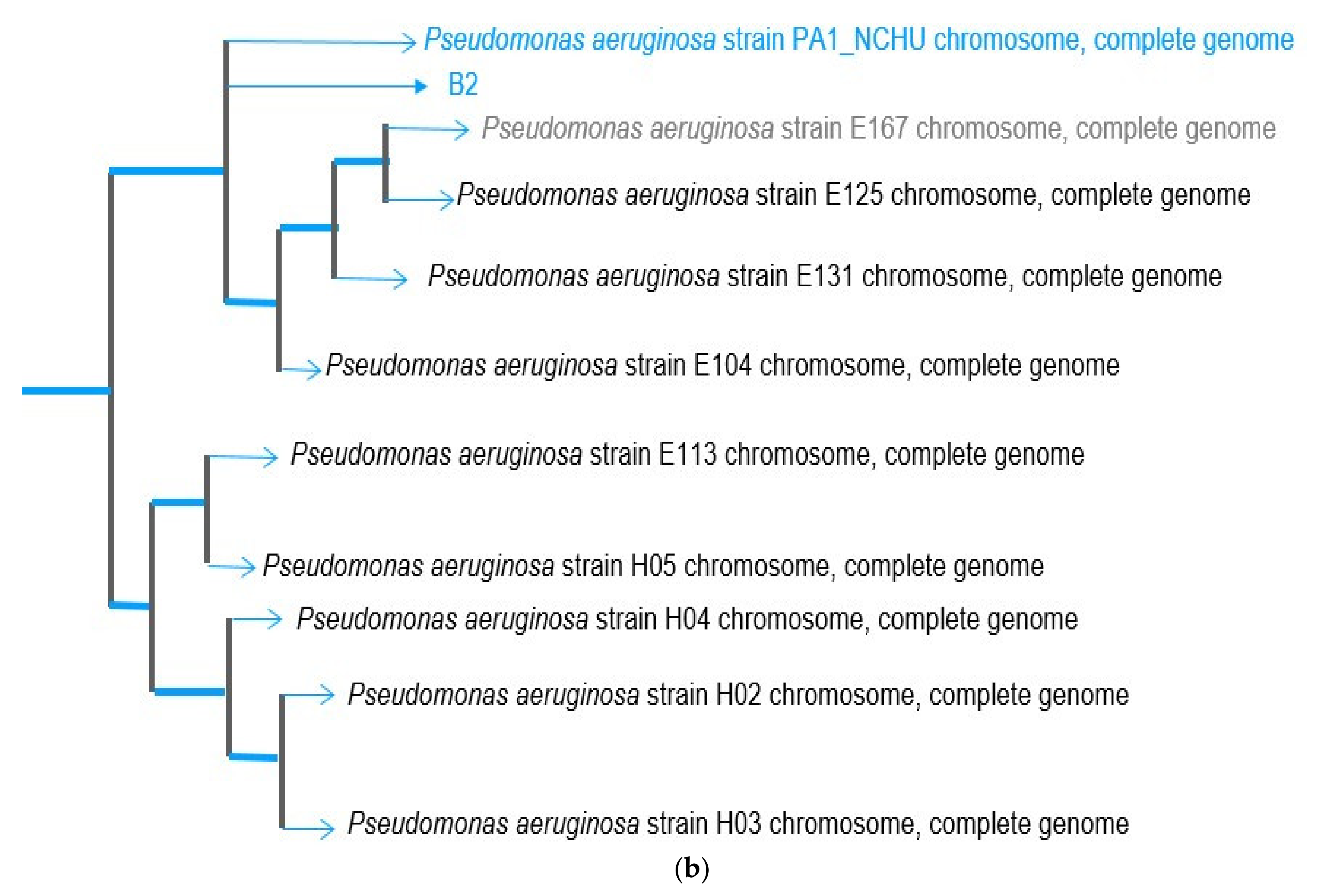 Water 15 00056 g002b Water 15 00056 g002b