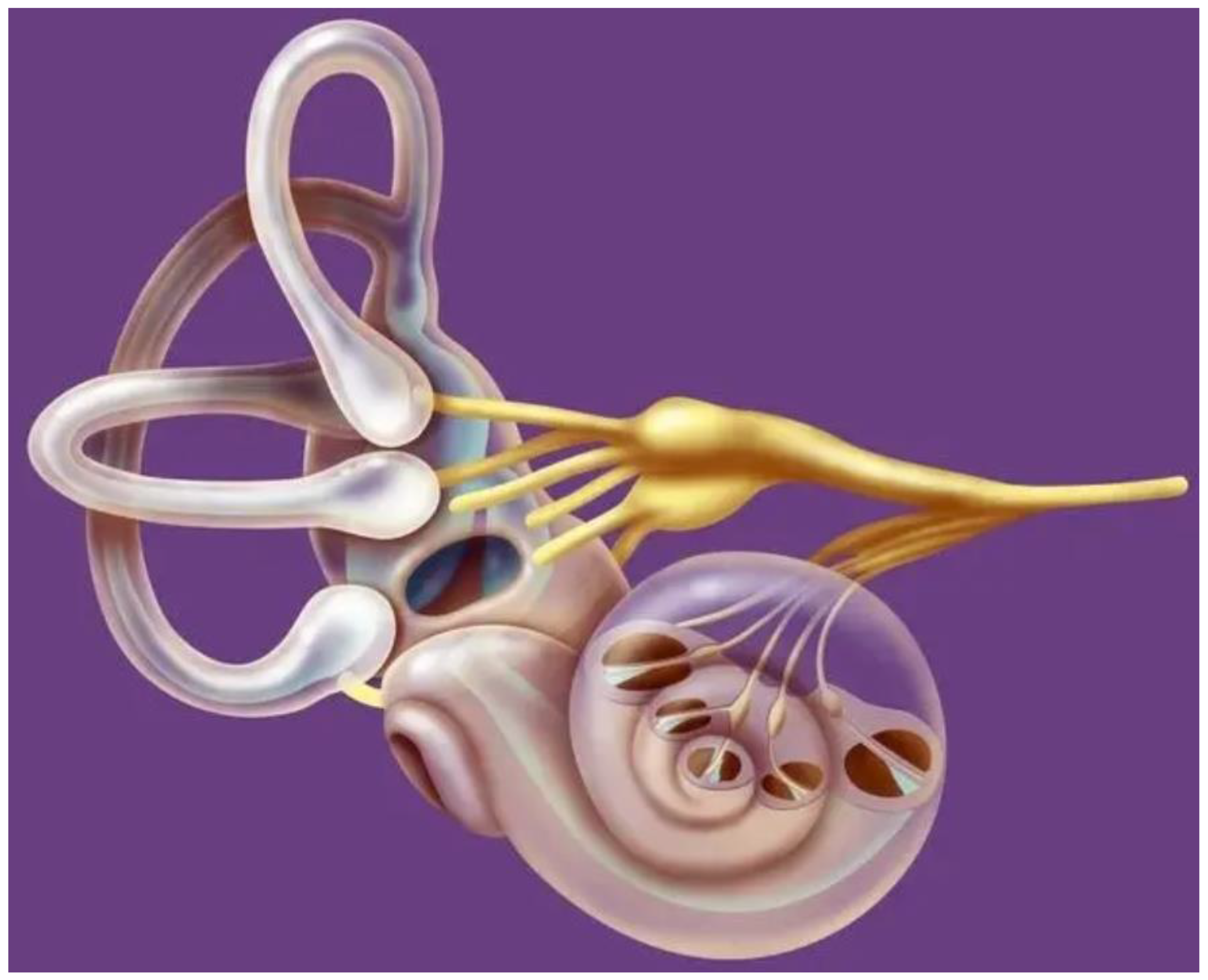 Water 15 00071 g002 Water 15 00071 g002