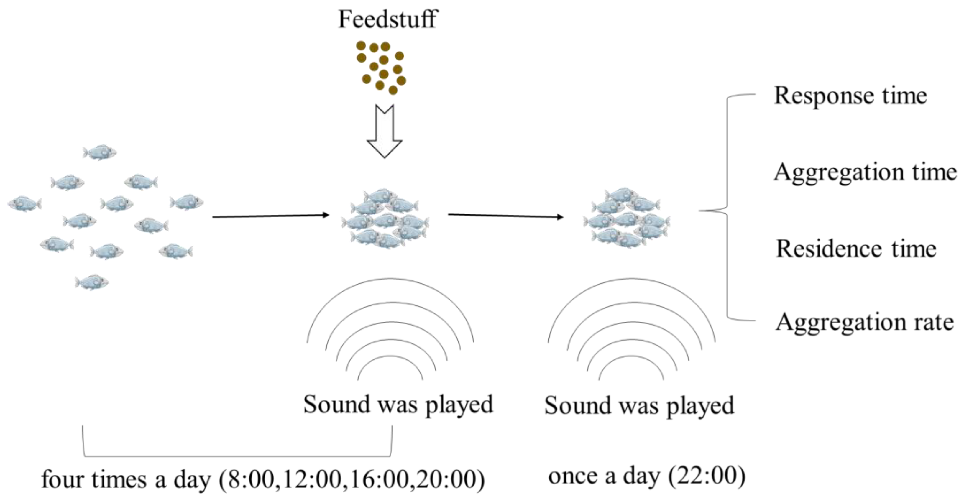 Water 15 00071 g005 Water 15 00071 g005