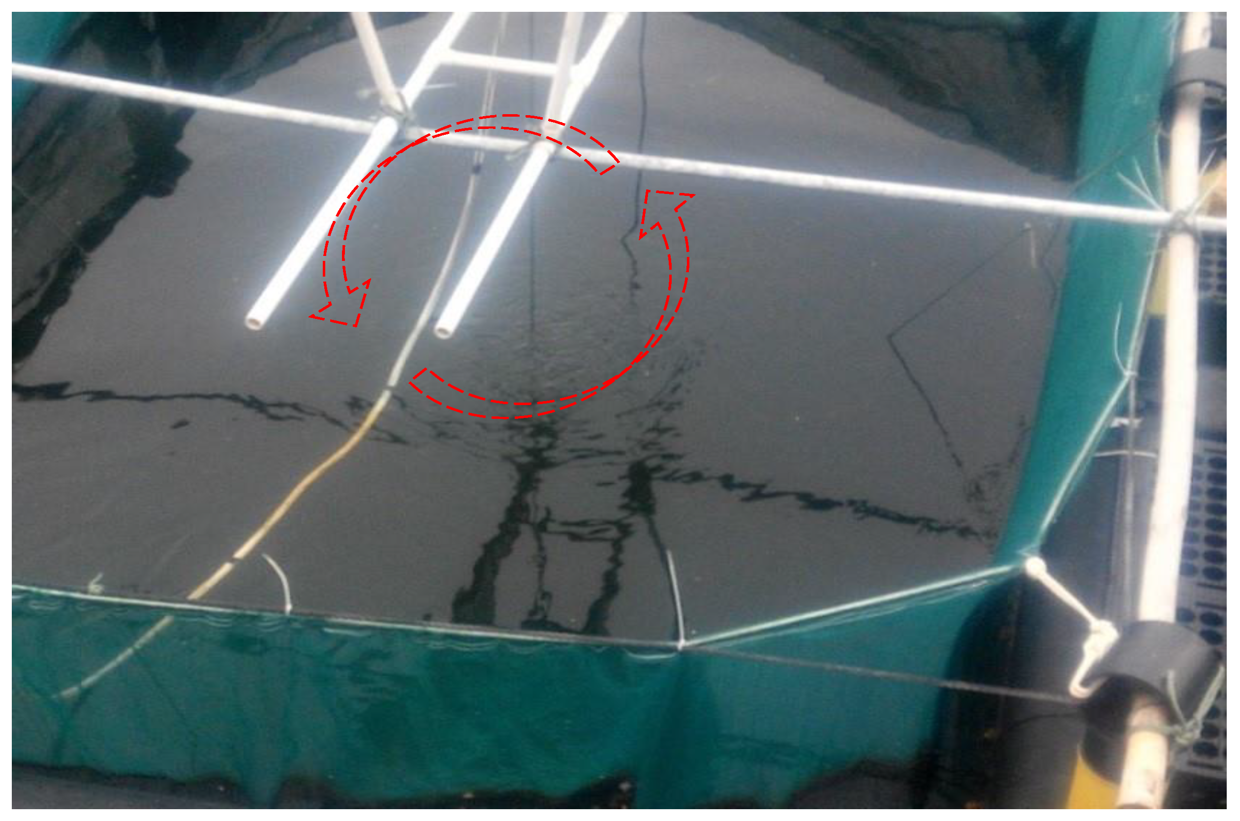 Water 15 00071 g011 Water 15 00071 g011