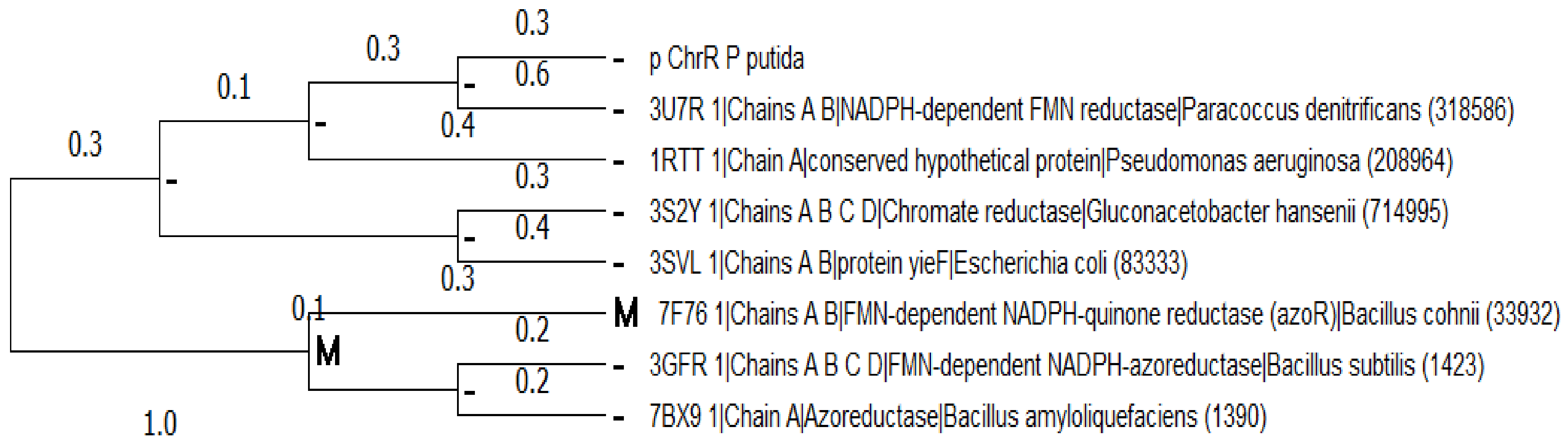 Water 15 00150 g002 Water 15 00150 g002