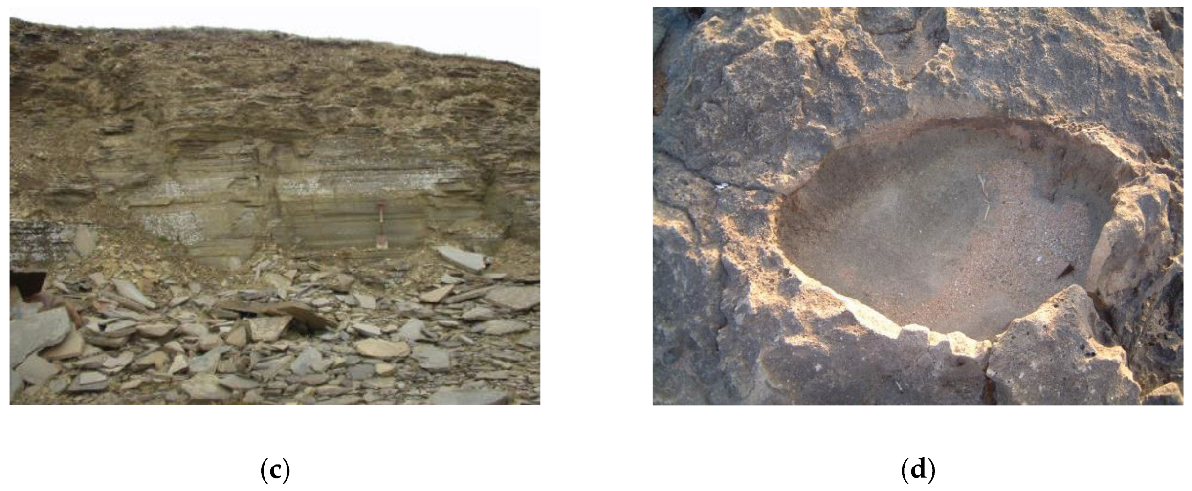 Water 15 00151 g003b