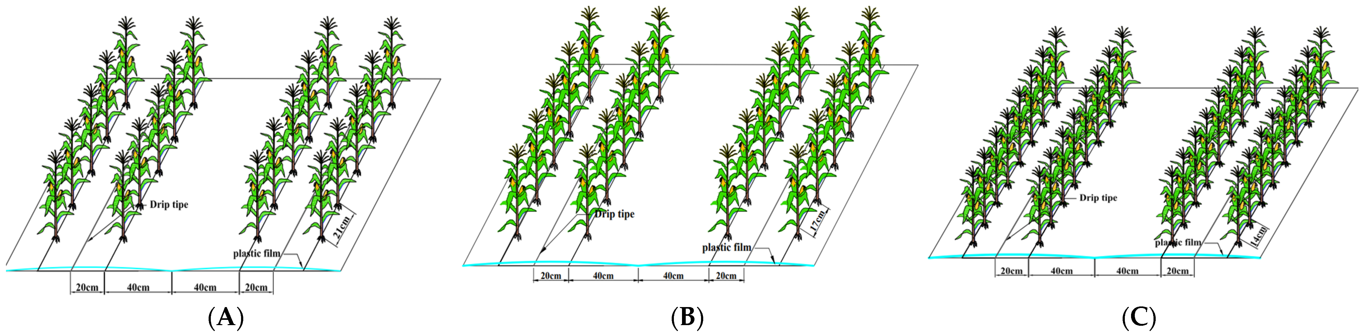 Water 15 00163 g001 Water 15 00163 g001