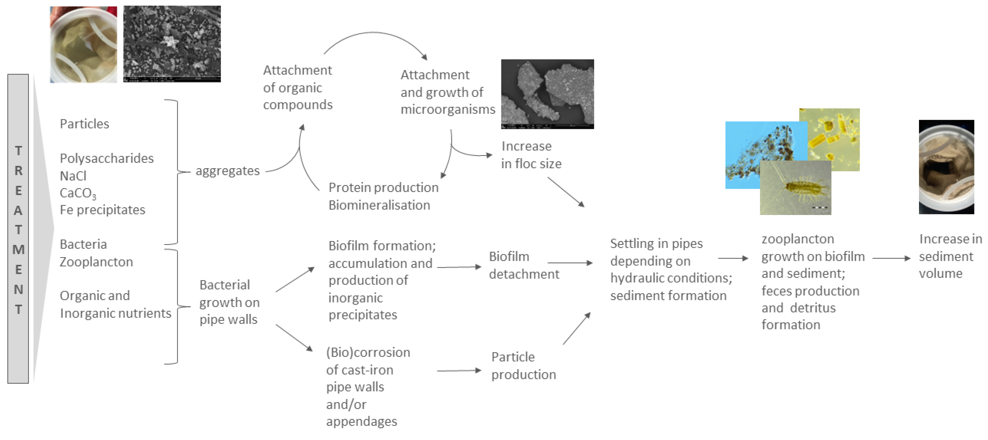 Water 15 00214 g010 Water 15 00214 g010