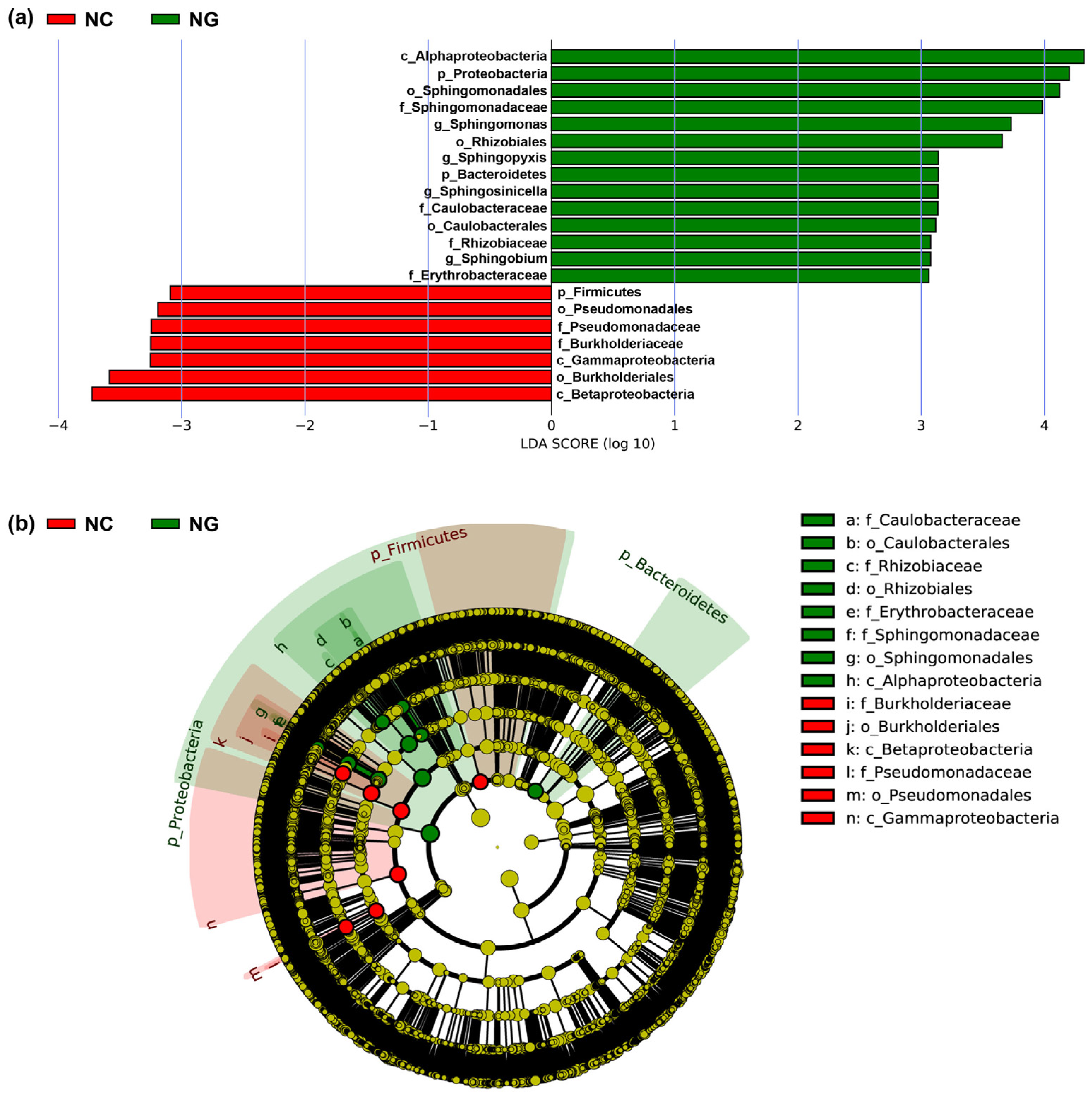 Analyzing the Soil Microbial Characteristics of Poa alpigena