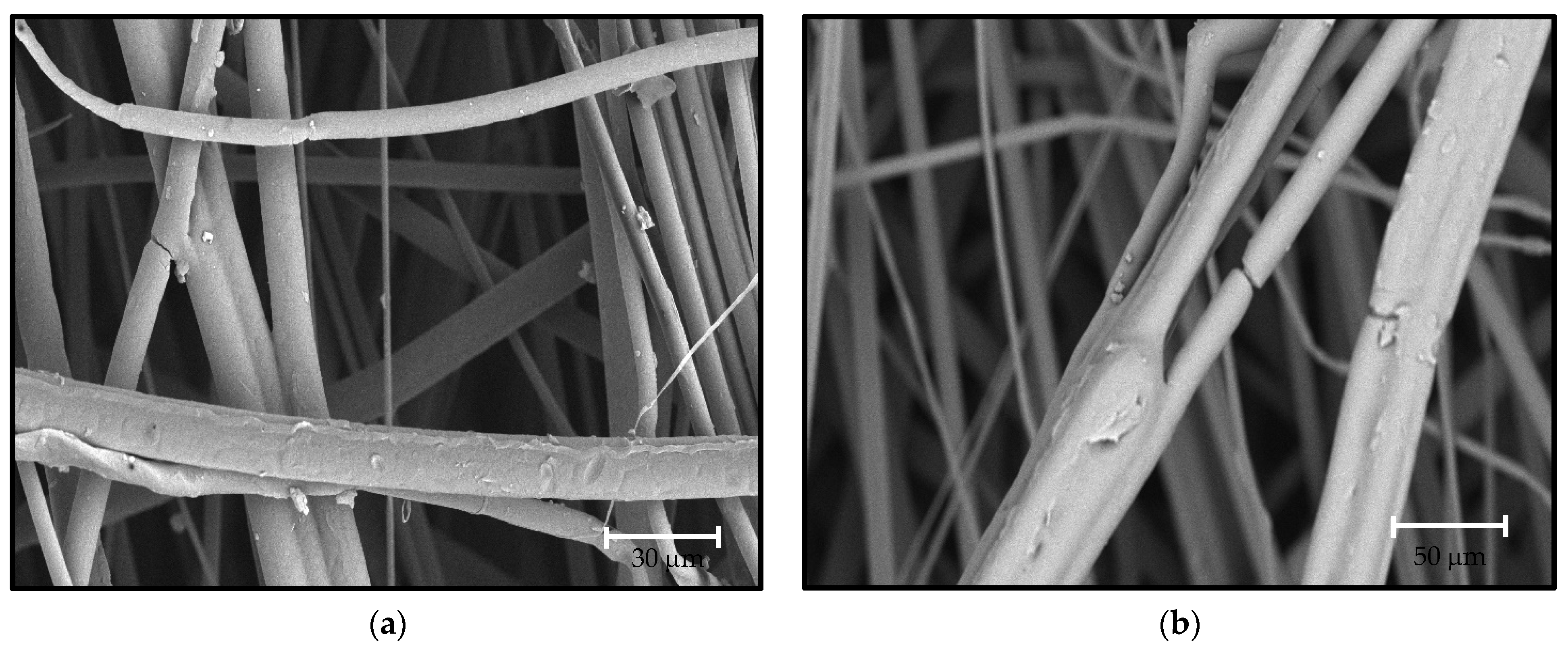 Water 15 00242 g002a