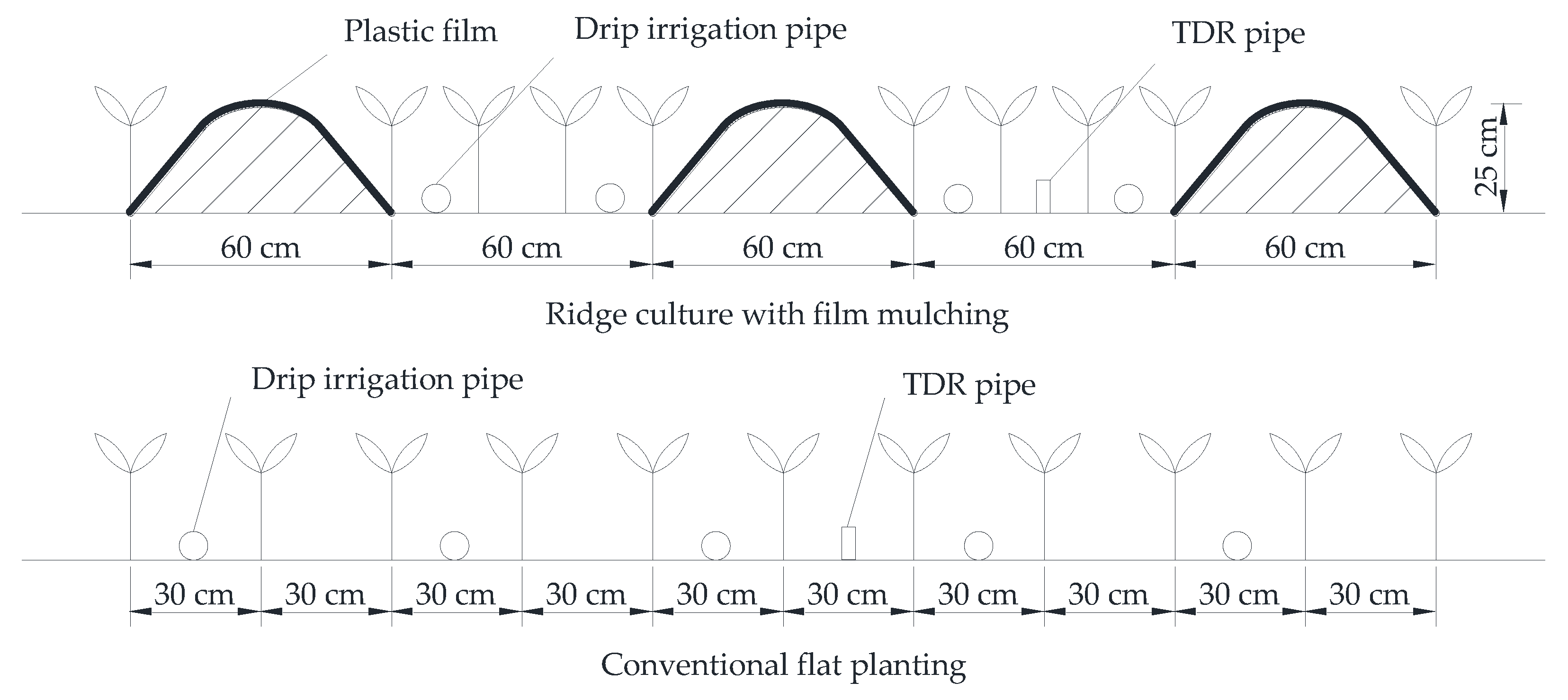 Water 15 00251 g002 Water 15 00251 g002