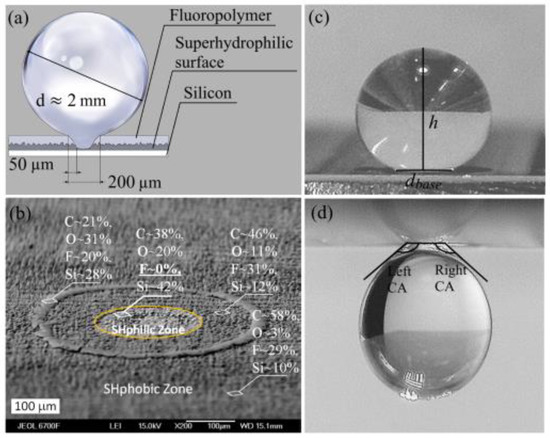 Evaporation Dynamics of Sessile and Suspended Almost-Spherical 