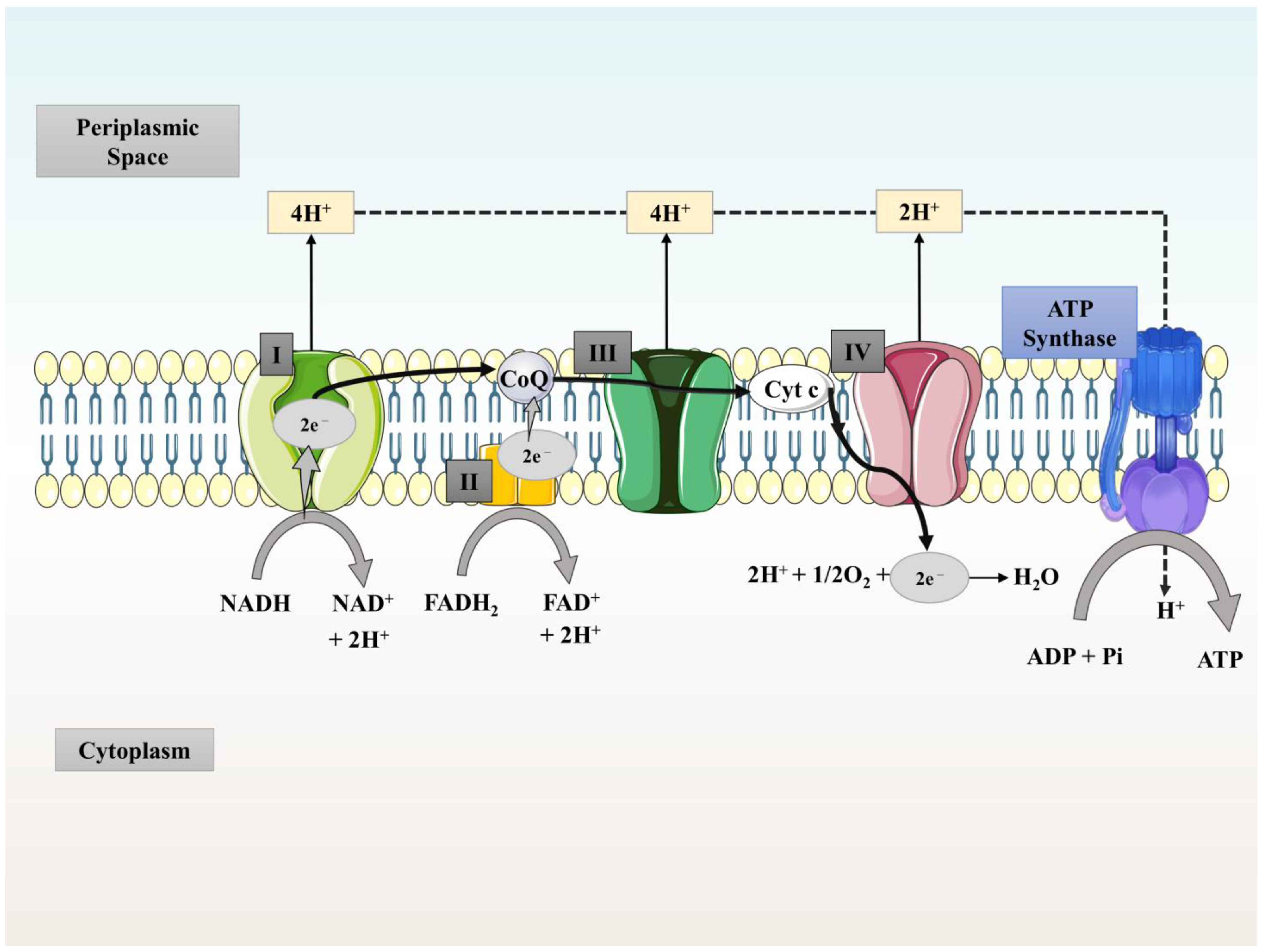 Water 15 00316 g002 Water 15 00316 g002