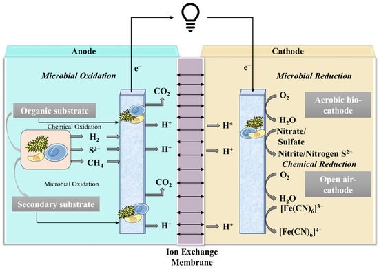 van der Waals oxide heteroepitaxy for soft transparent
