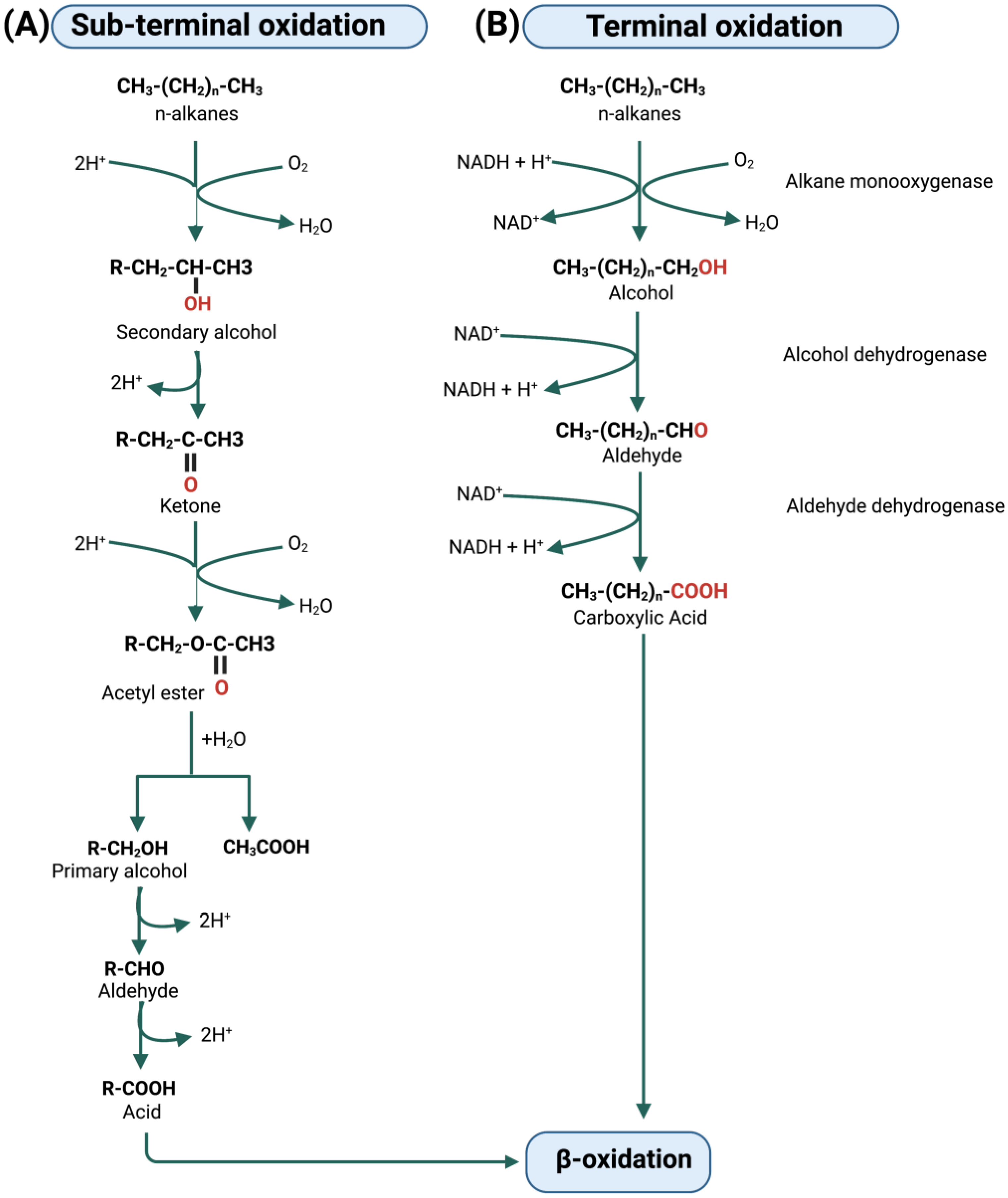 Water 15 00375 g003 Water 15 00375 g003