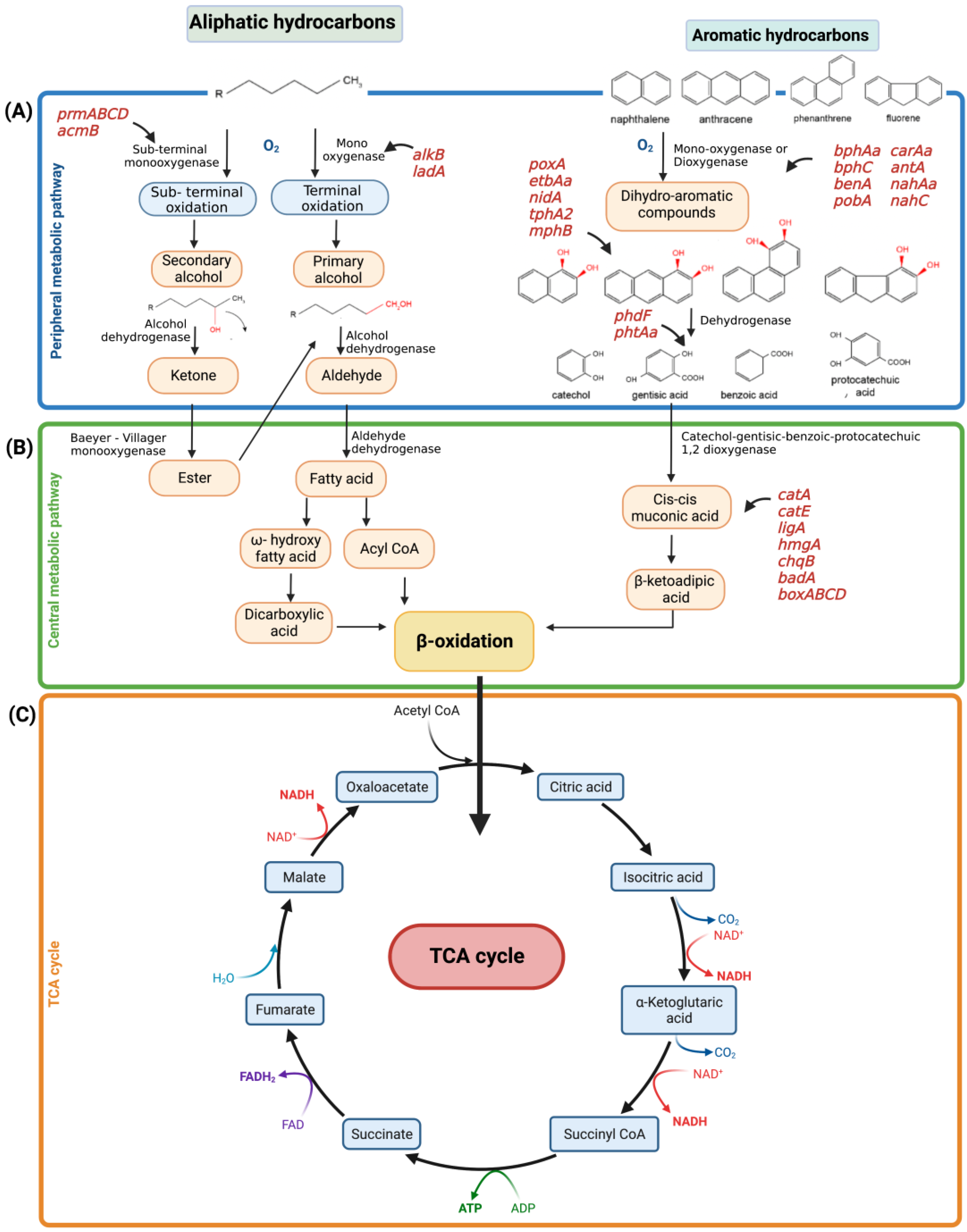 Water 15 00375 g005 Water 15 00375 g005