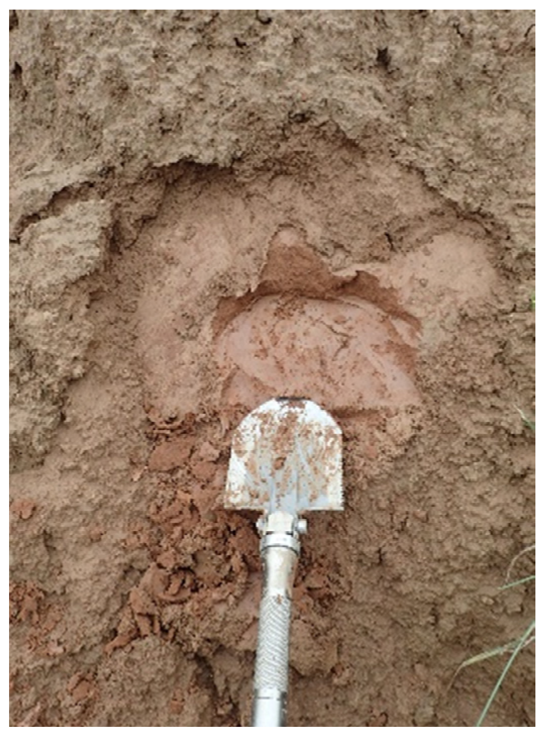 Water 15 00424 g005 Water 15 00424 g005