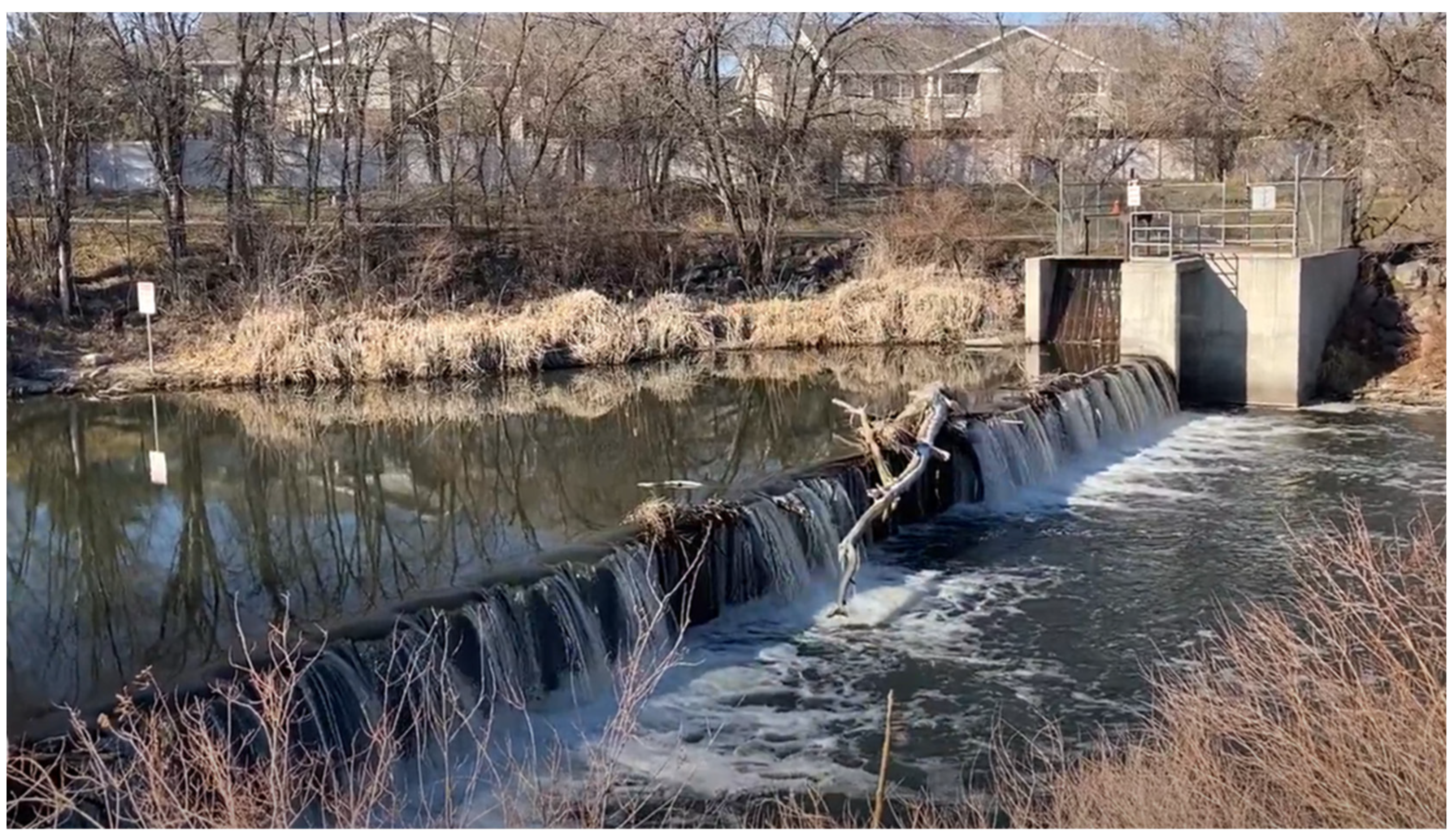 Water 15 00512 g001 Water 15 00512 g001