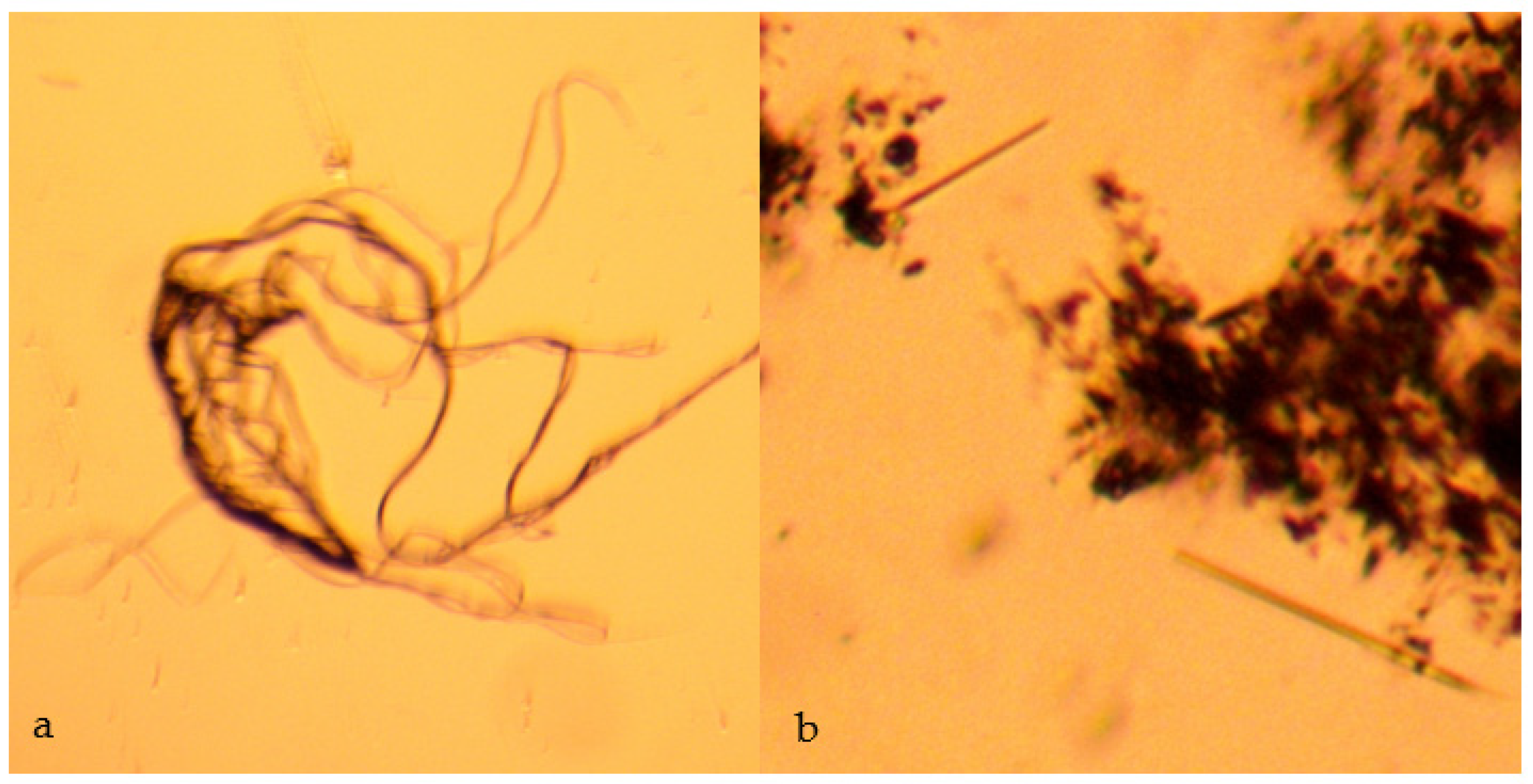 Water 15 00540 g002 Water 15 00540 g002