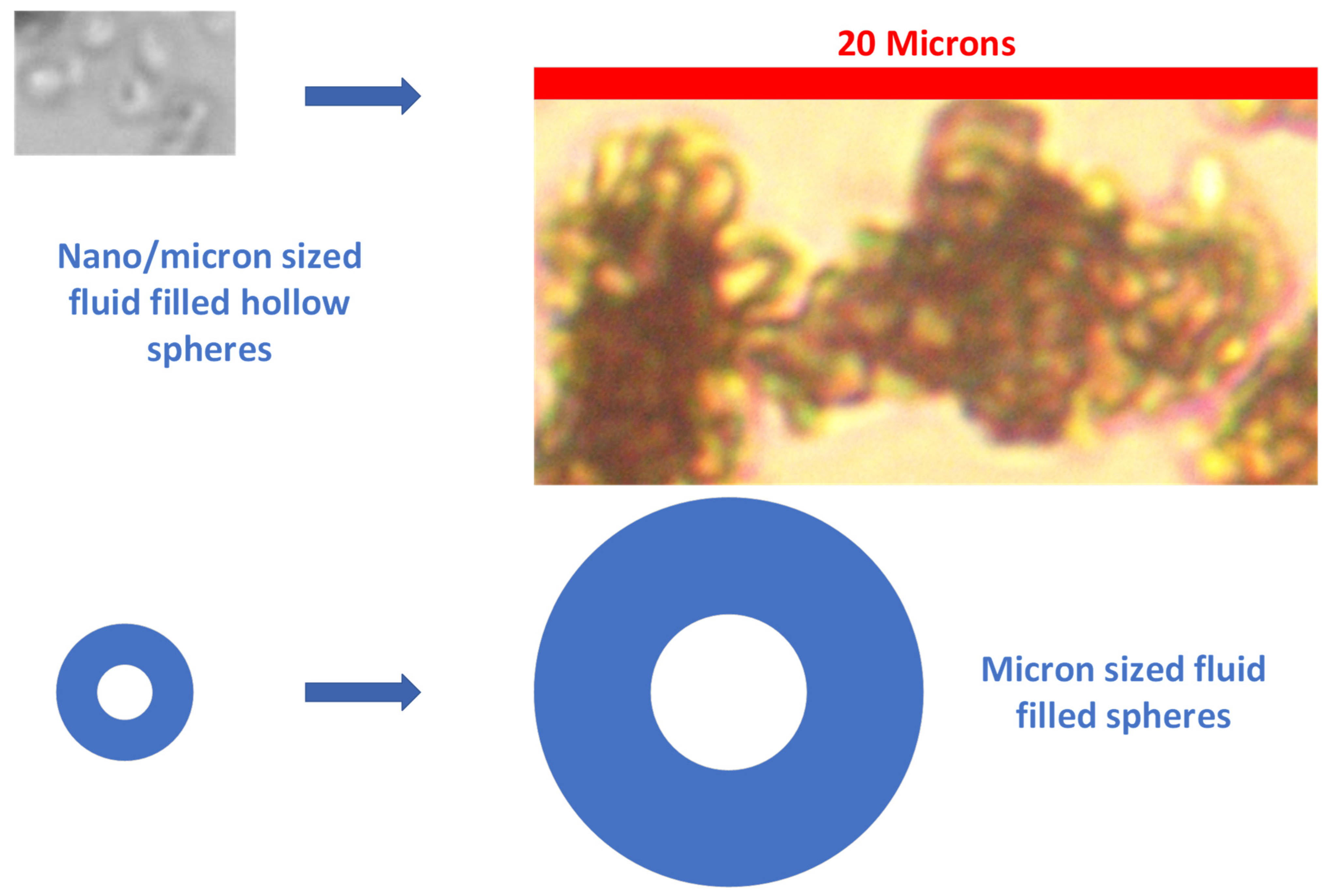 Water 15 00540 g005 Water 15 00540 g005